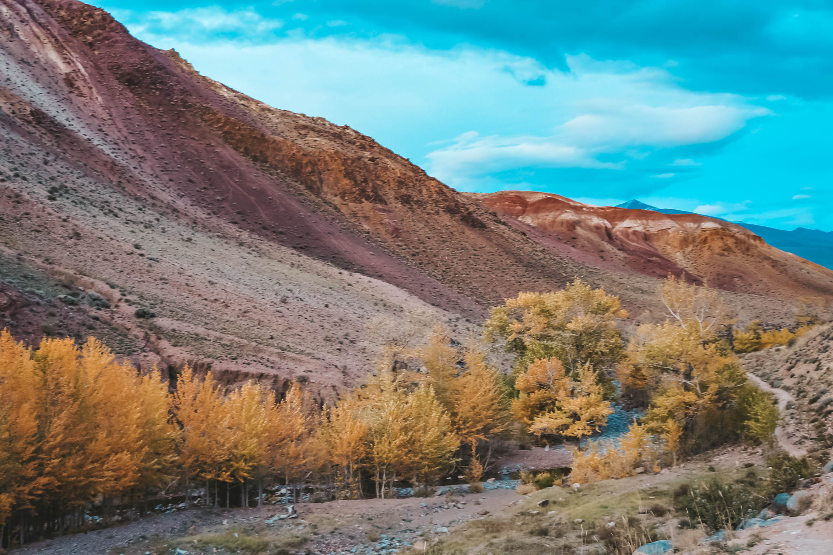 Гедонист-тур! Краски Алтайской осени (15/28)