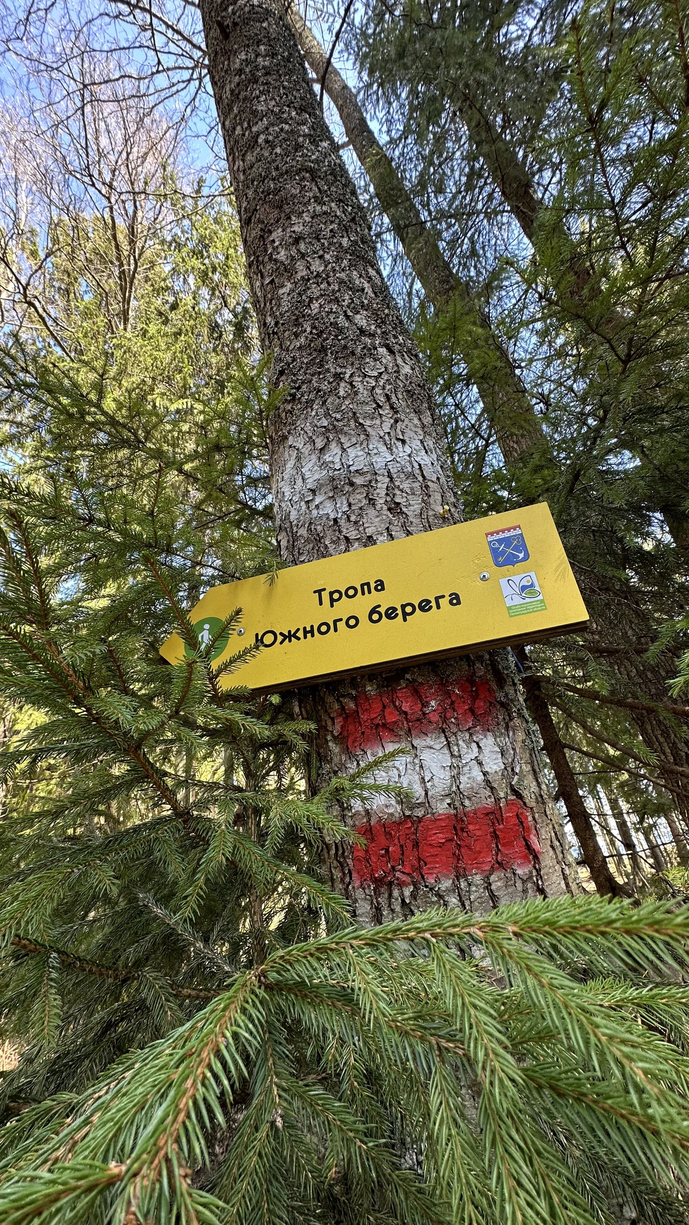 Тропа южного берега с ночевкой в домиках, Ленинградская область (6/10)