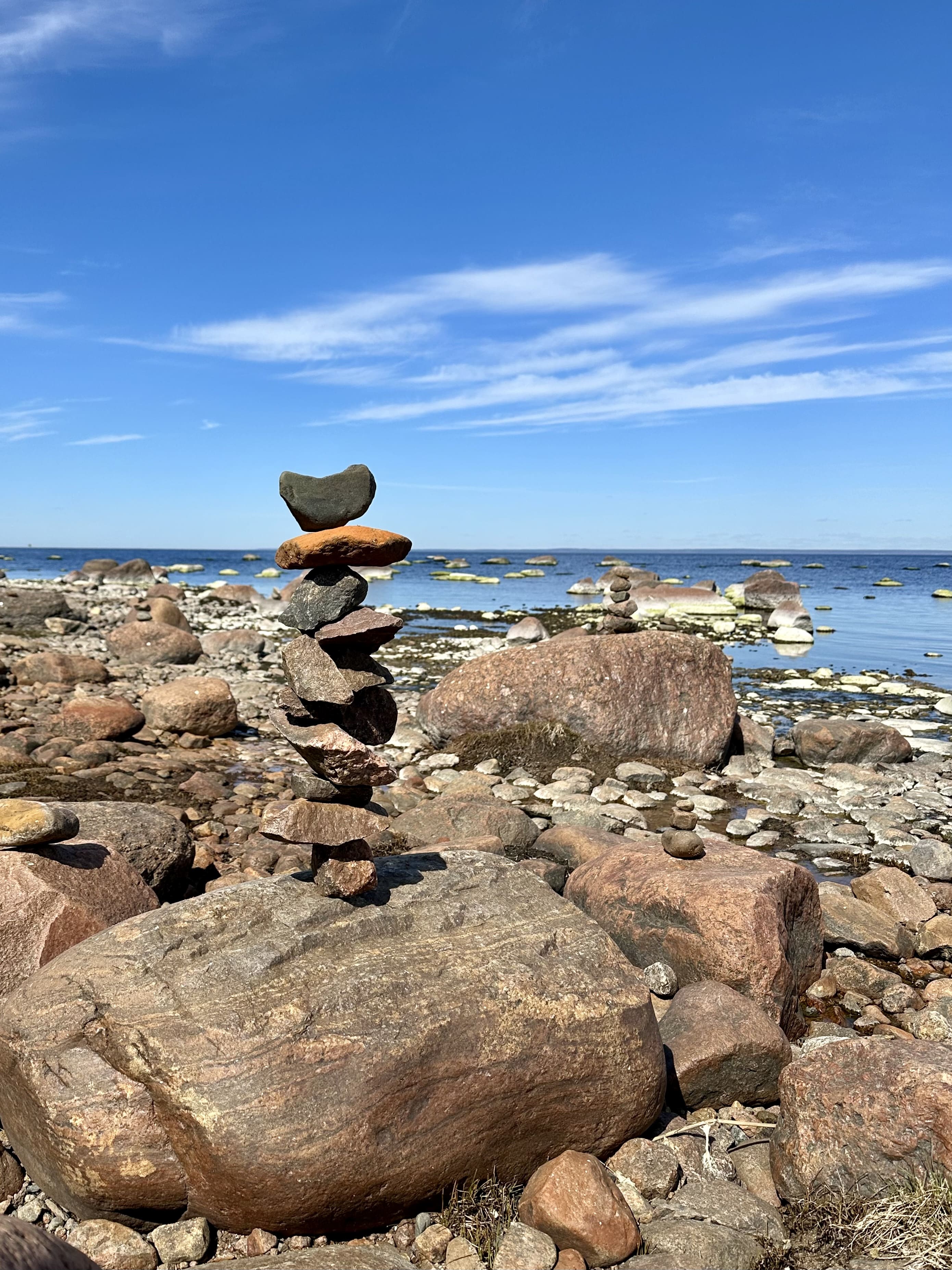Тропа южного берега с ночевкой в домиках, Ленинградская область (8/10)