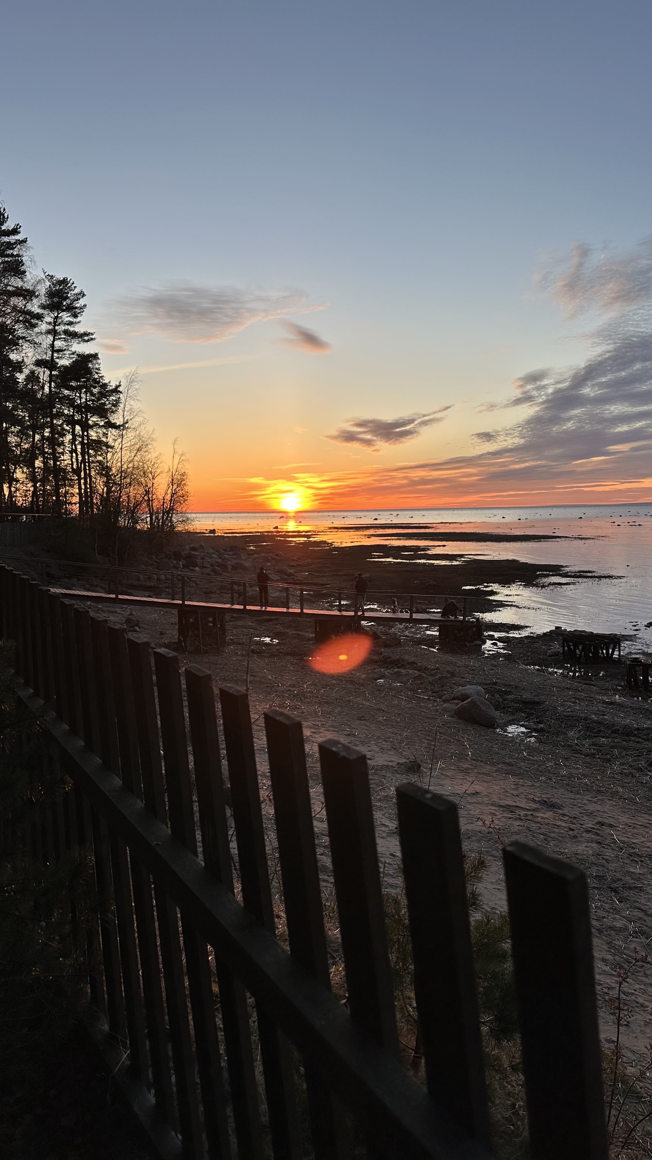 Тропа южного берега с ночевкой в домиках, Ленинградская область (7/10)