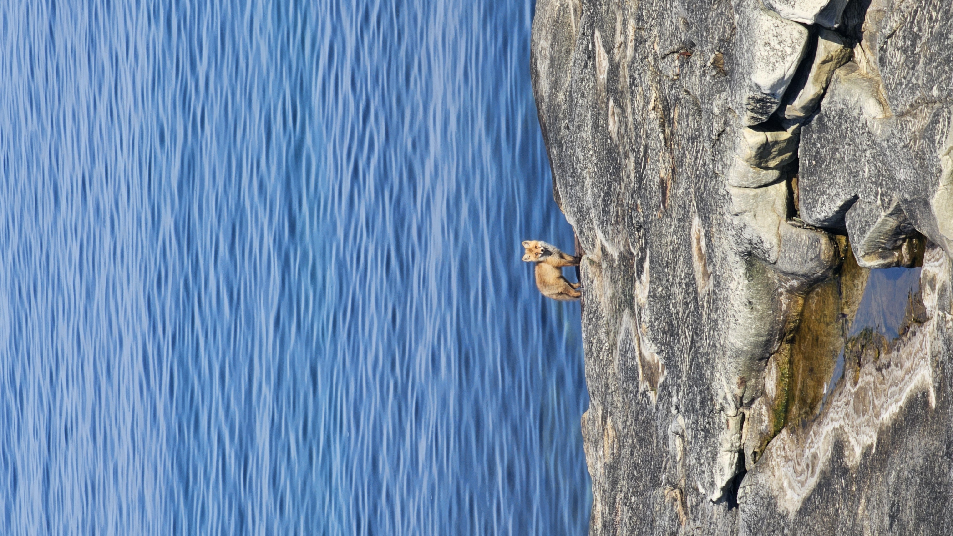 Полуостров Рыбачий. Красота севера без рюкзаков и длинных переходов. (36/56)