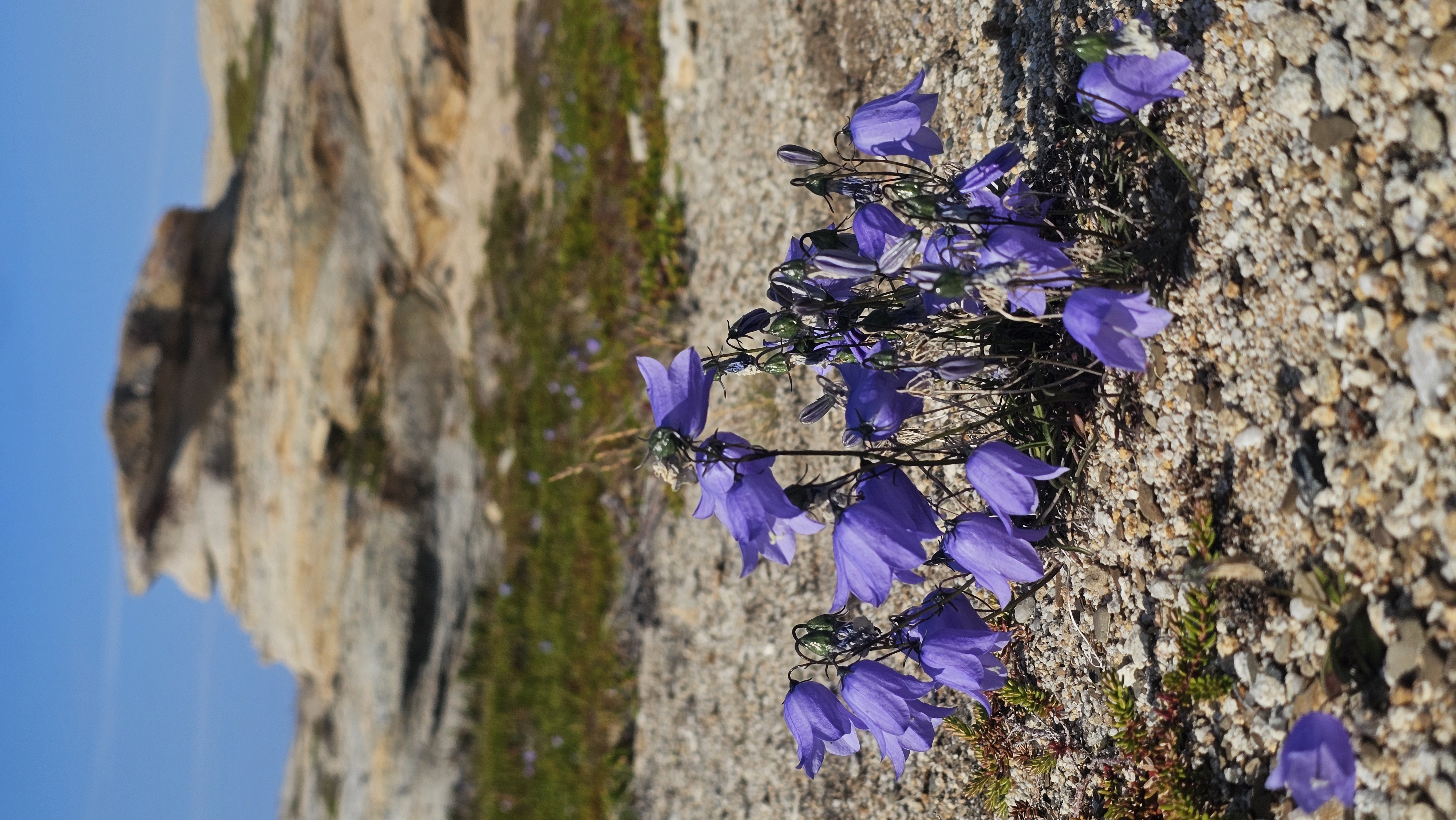 Полуостров Рыбачий. Красота севера без рюкзаков и длинных переходов. (37/56)