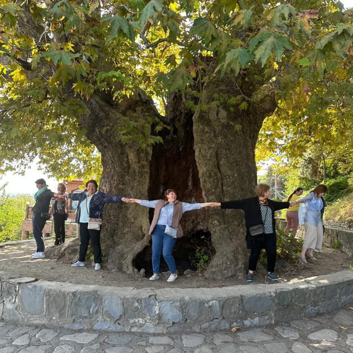 Грузия со вкусом вина: Тбилиси и Кахетия (9/29)