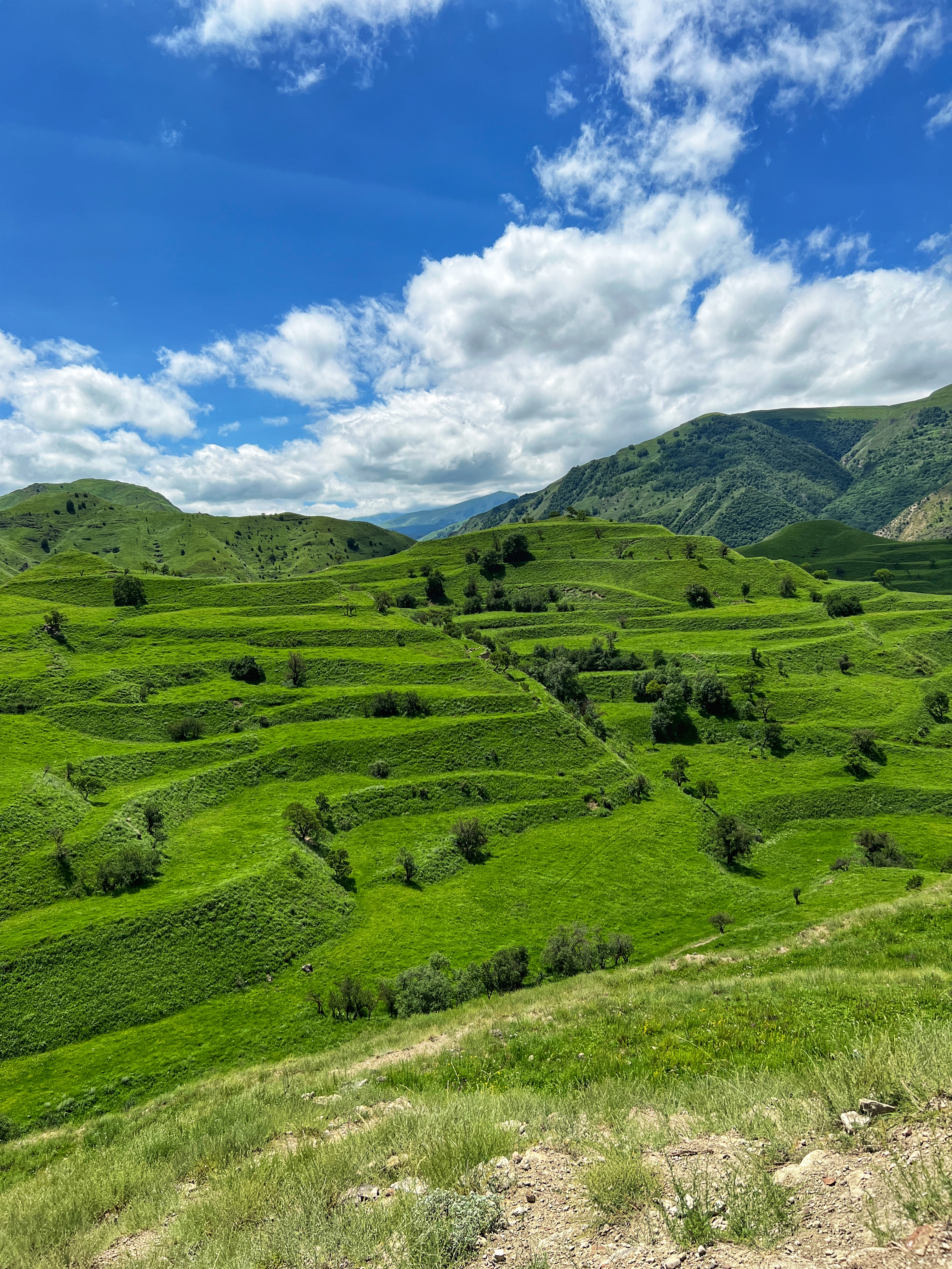 Гостеприимный Дагестан за 3 дня! Всё включено! (31/67)