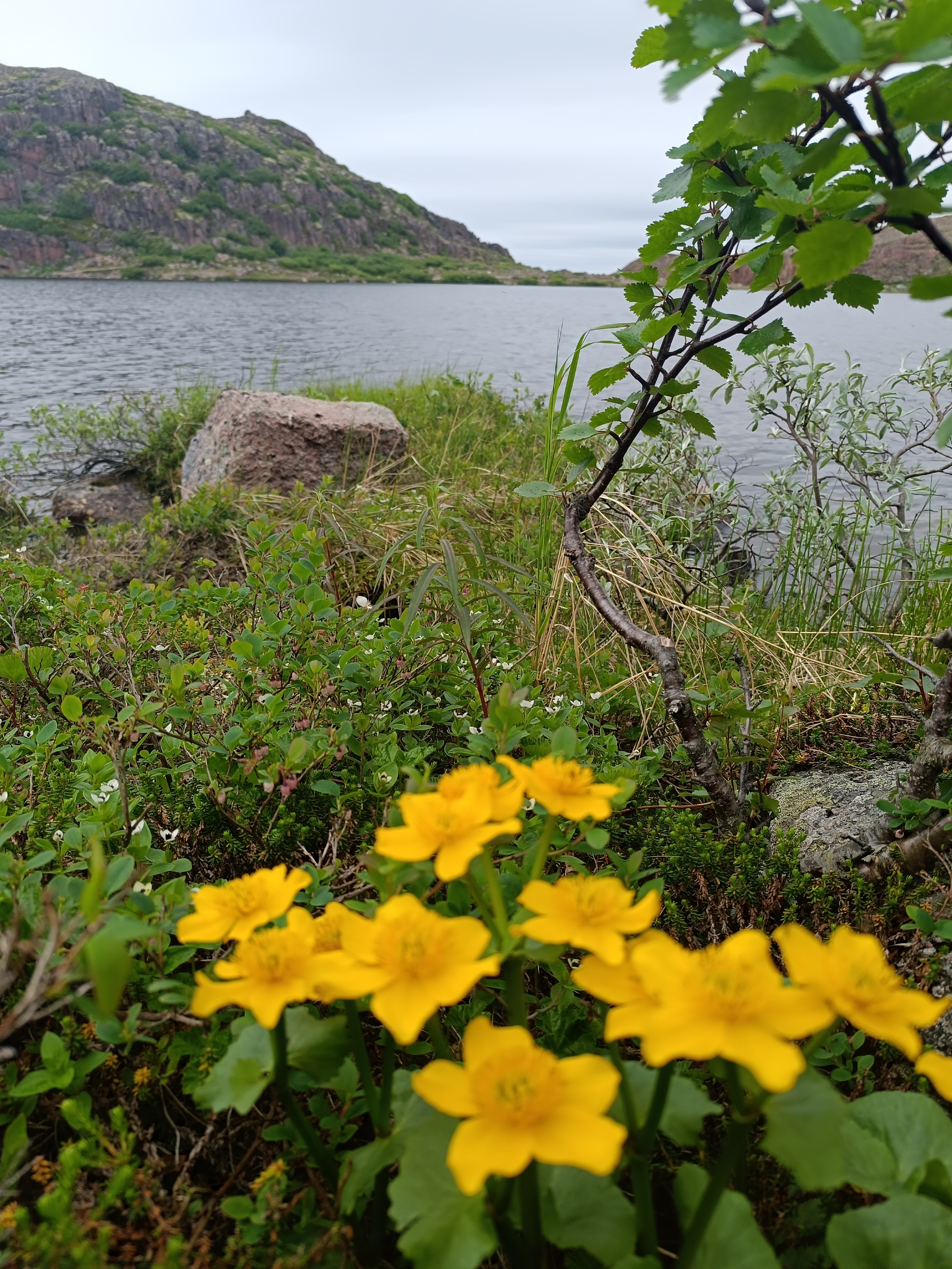 Териберка - Фотоохота за северным сиянием. 3 дня на Краю Света! (50/65)