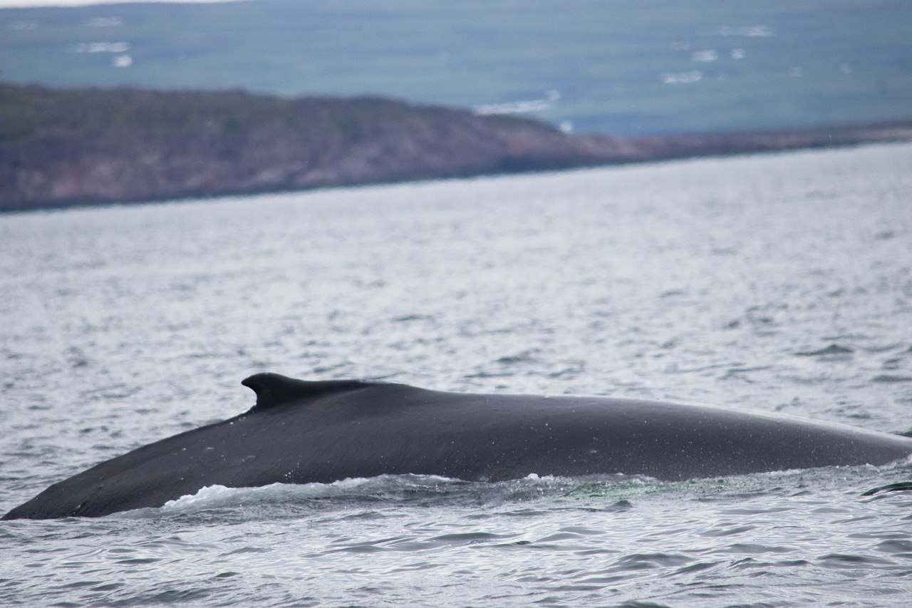 Териберка - Фотоохота за северным сиянием. 3 дня на Краю Света! (47/65)