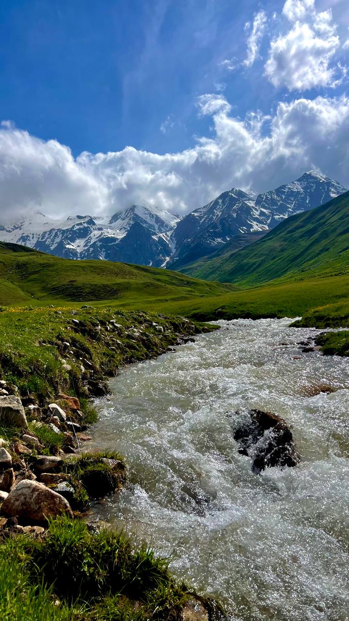 Эль Тур (Эльбрус) (20/73)