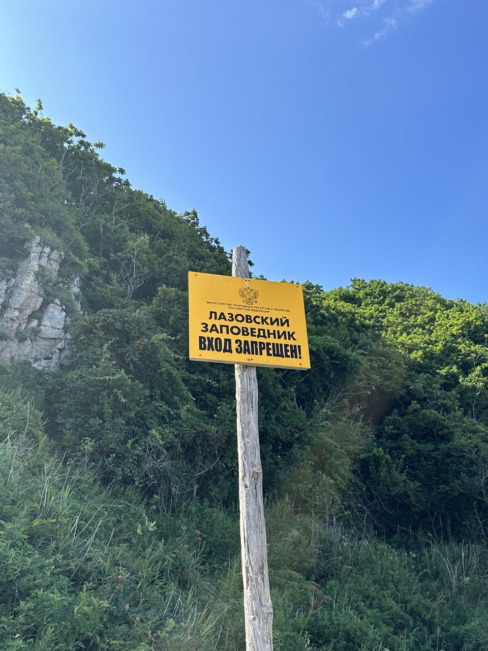 Земля тигров, неделя с комфортом, все включено. Тайга, море и Владивосток. (18/35)