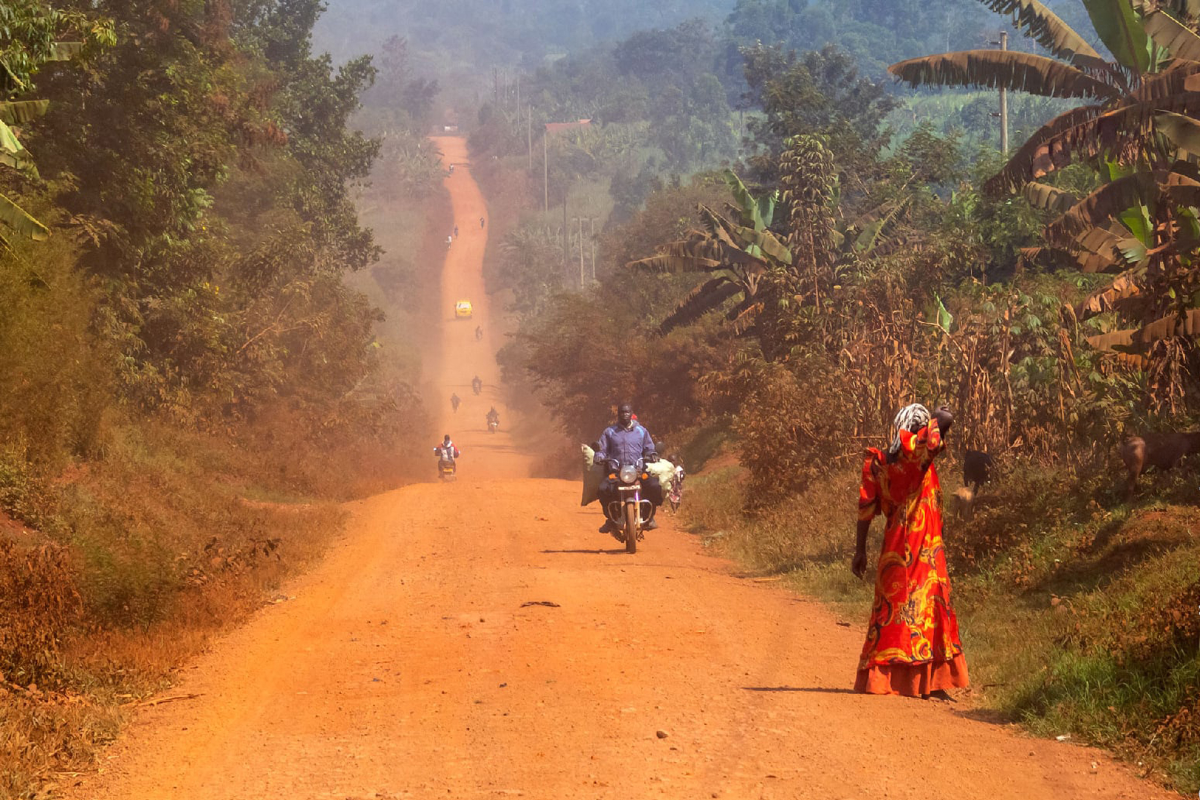Беговое сафари в среднегорье Уганды (25/26)