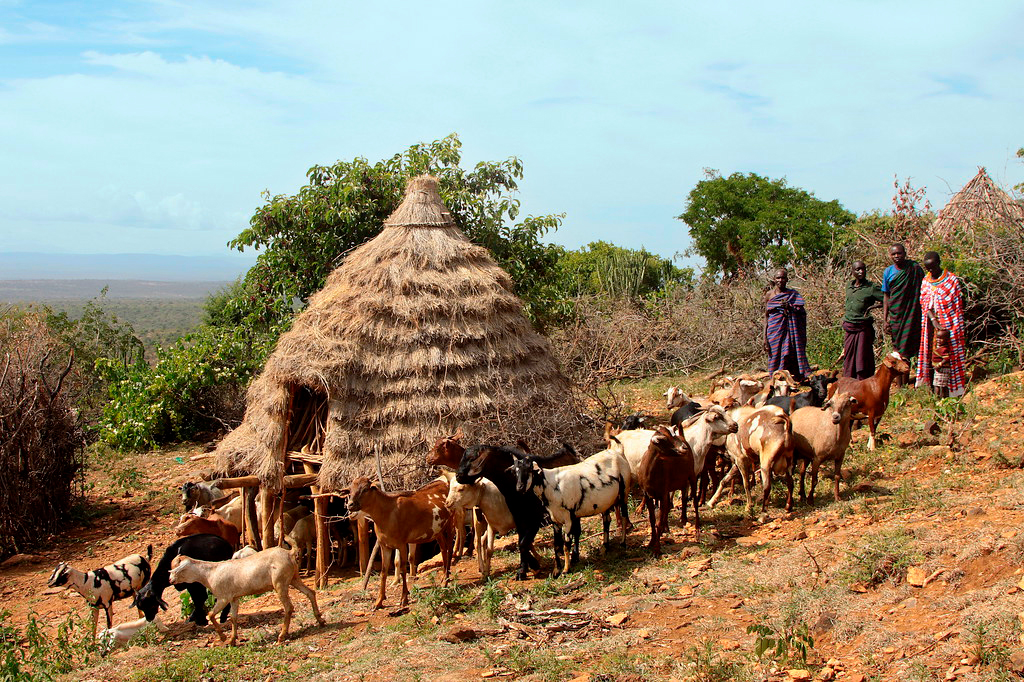 Беговое сафари в среднегорье Уганды (14/26)