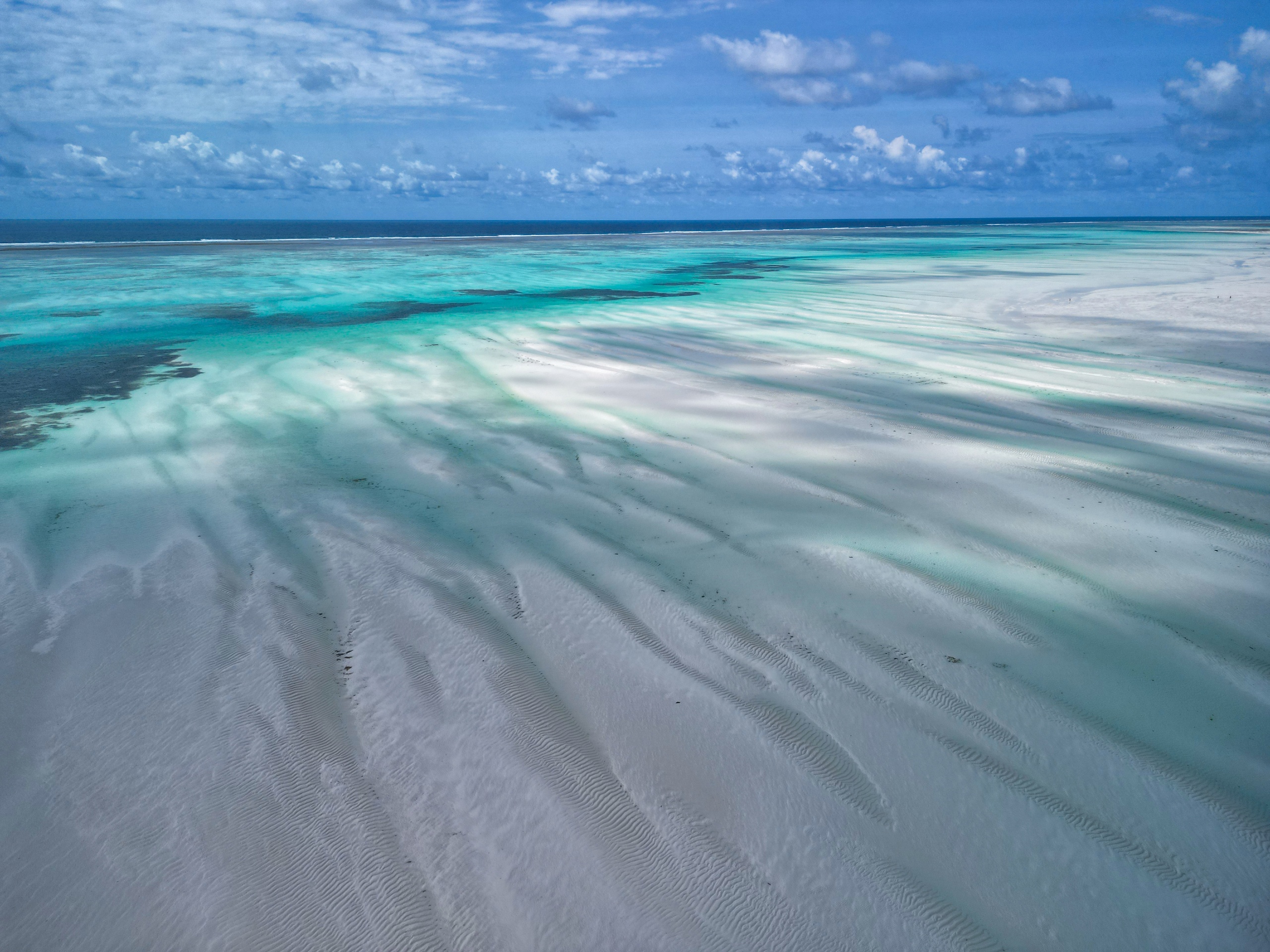 Приключения на Занзибаре (11/26)