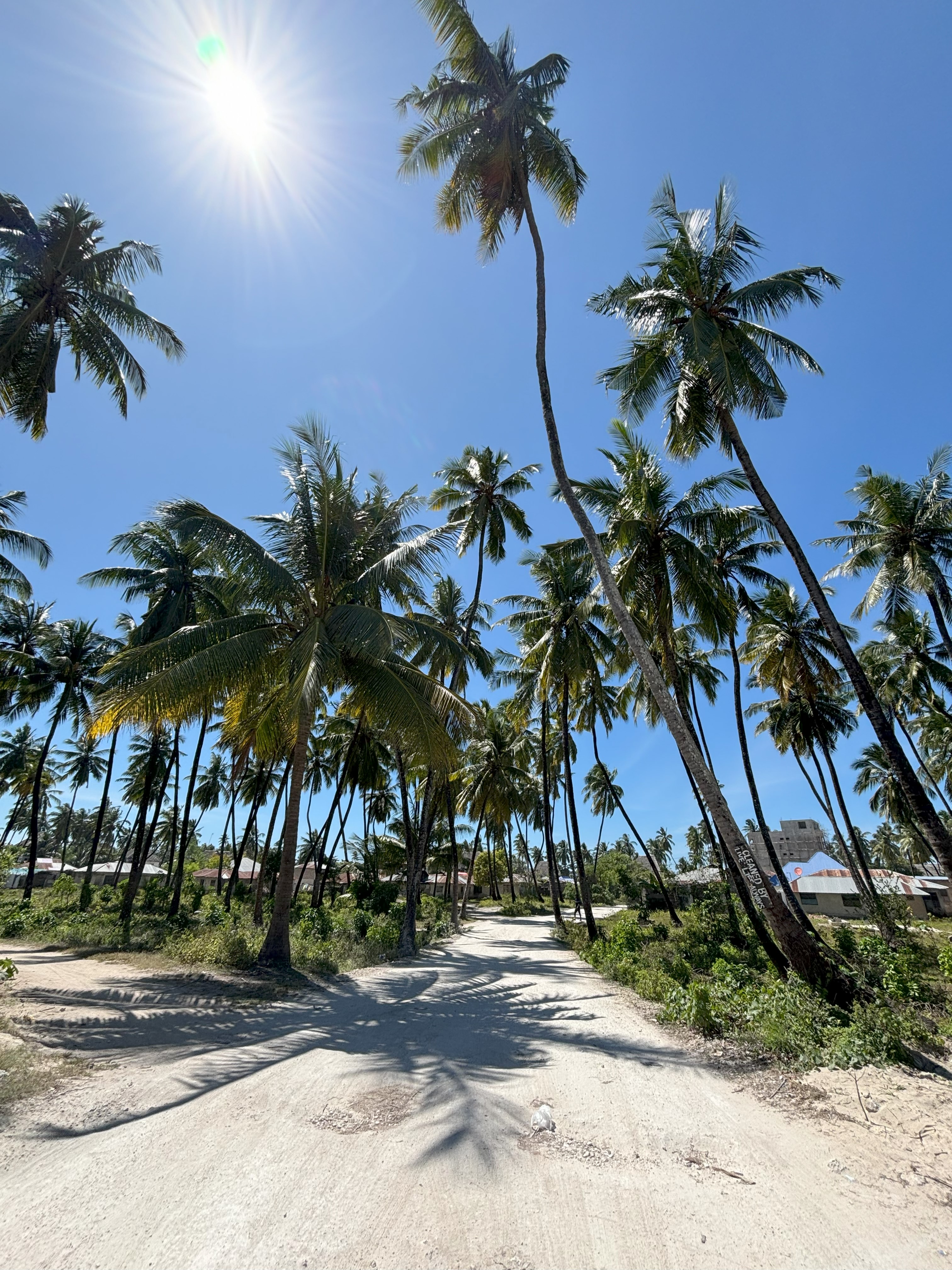Приключения на Занзибаре (26/26)