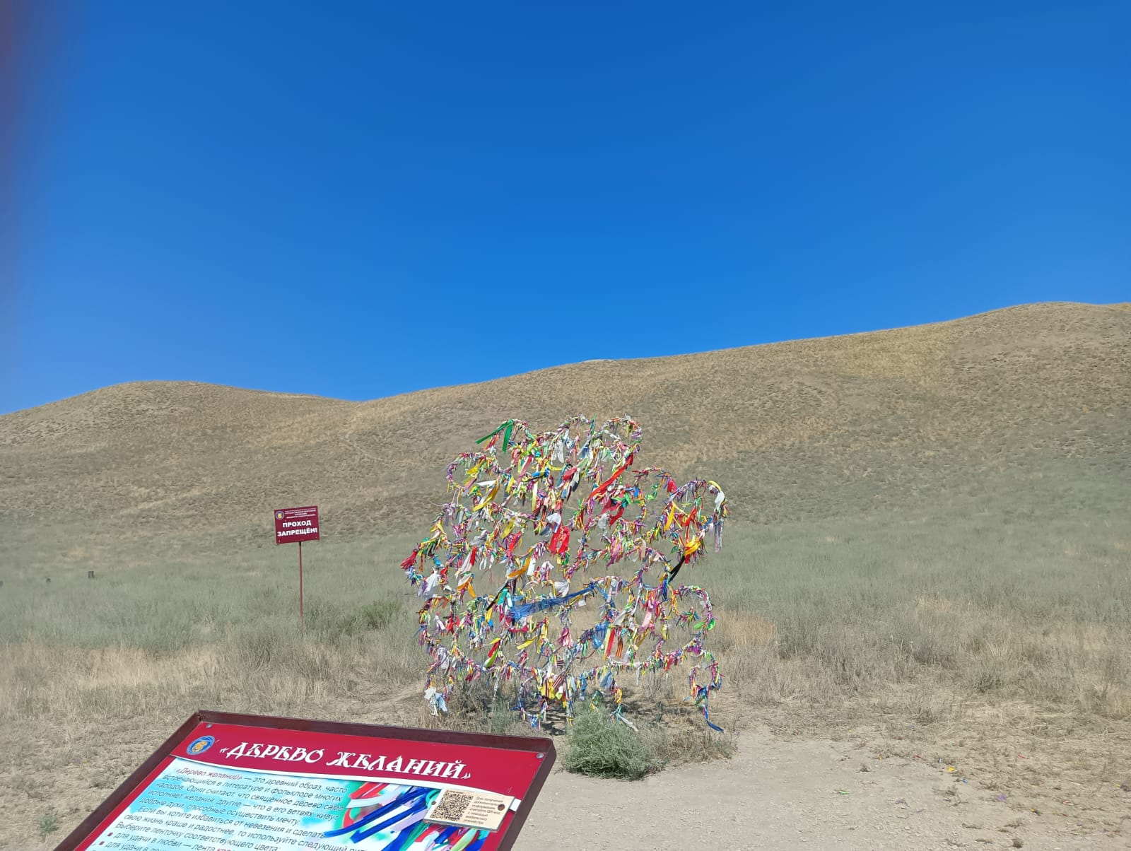 Степное Поволжье (5/12)