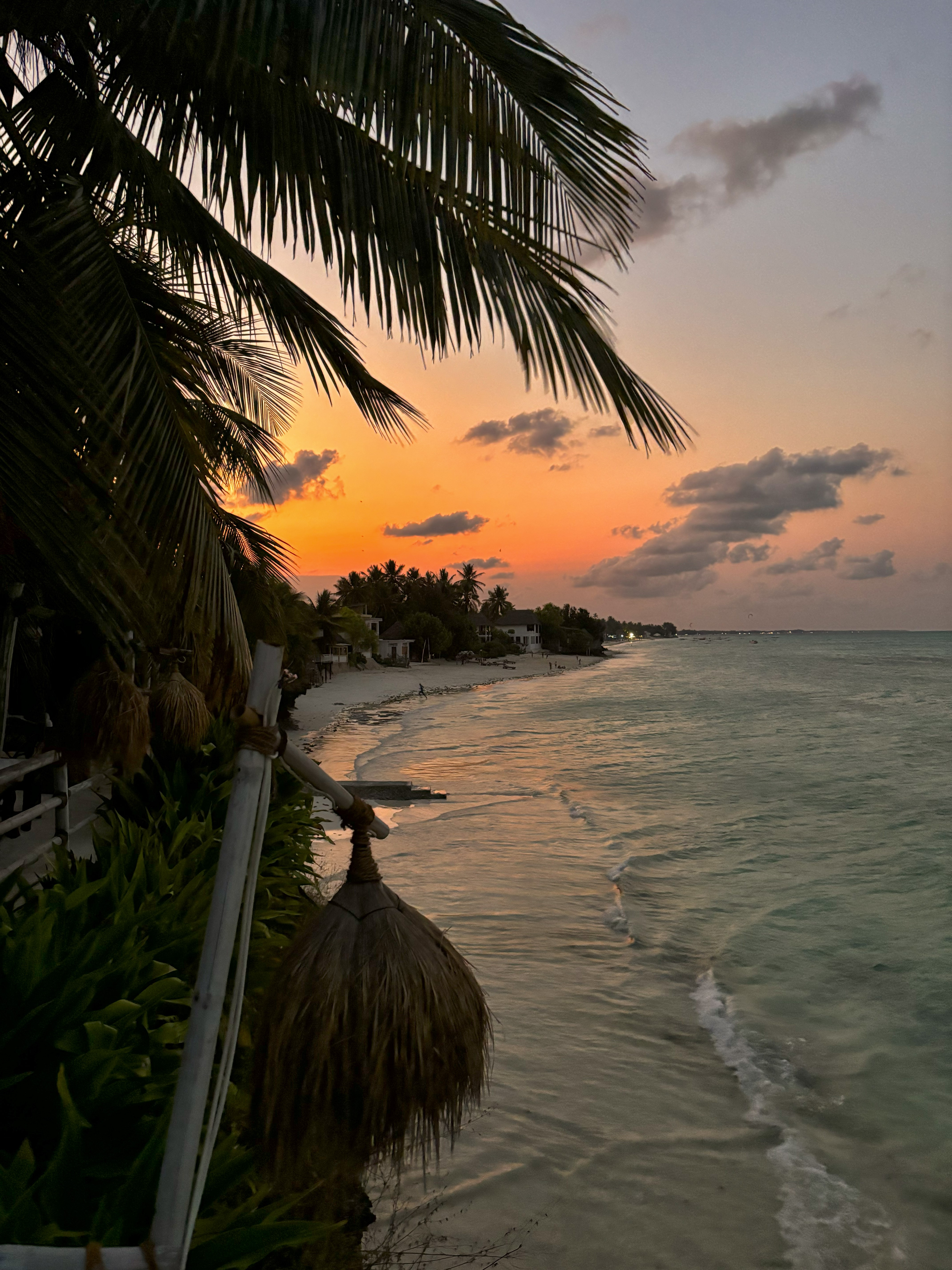 Приключения на Занзибаре (3/26)