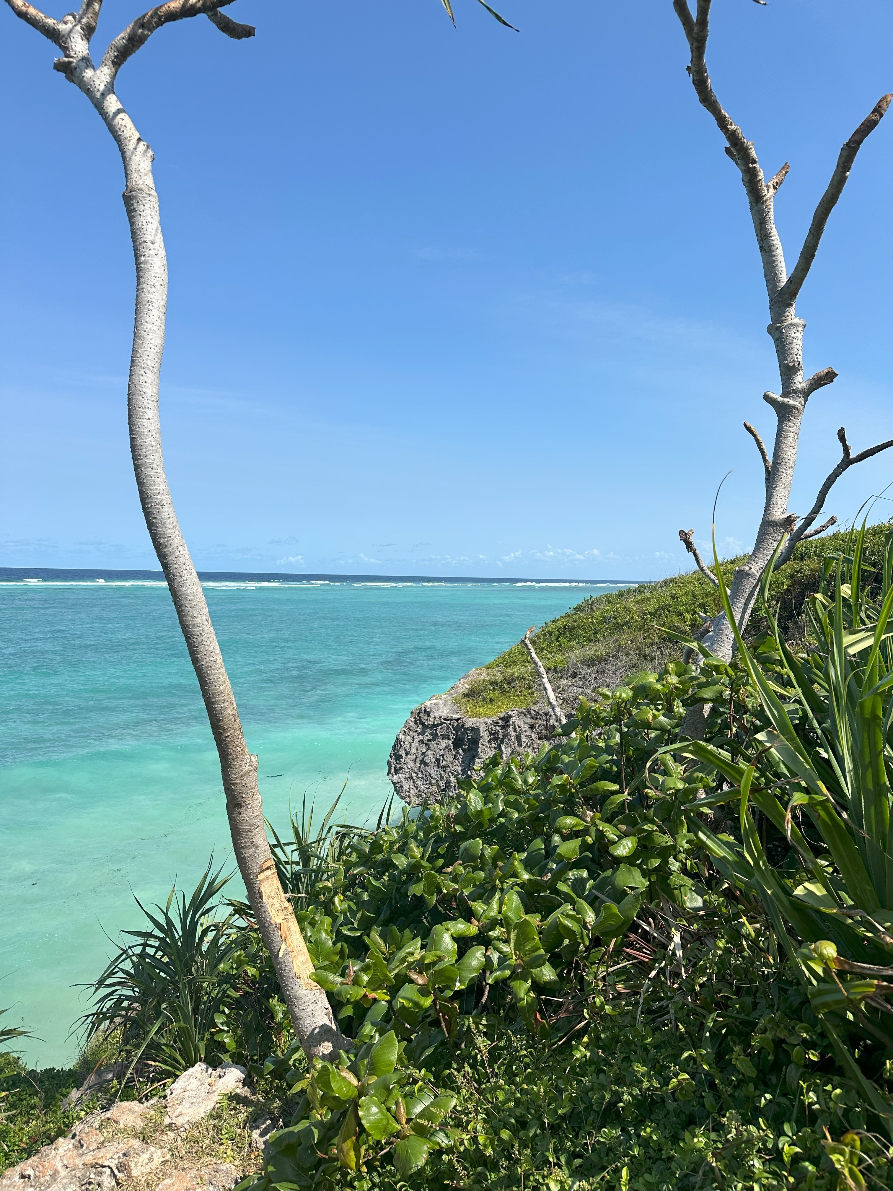 Приключения на Занзибаре (25/26)