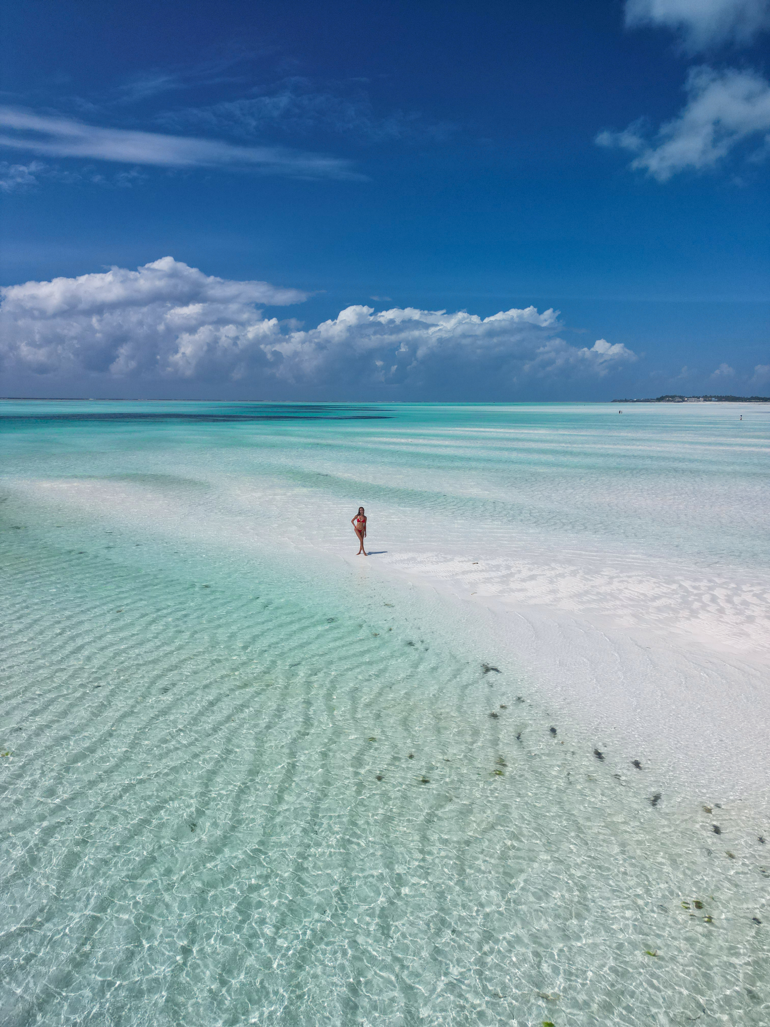 Приключения на Занзибаре (6/26)