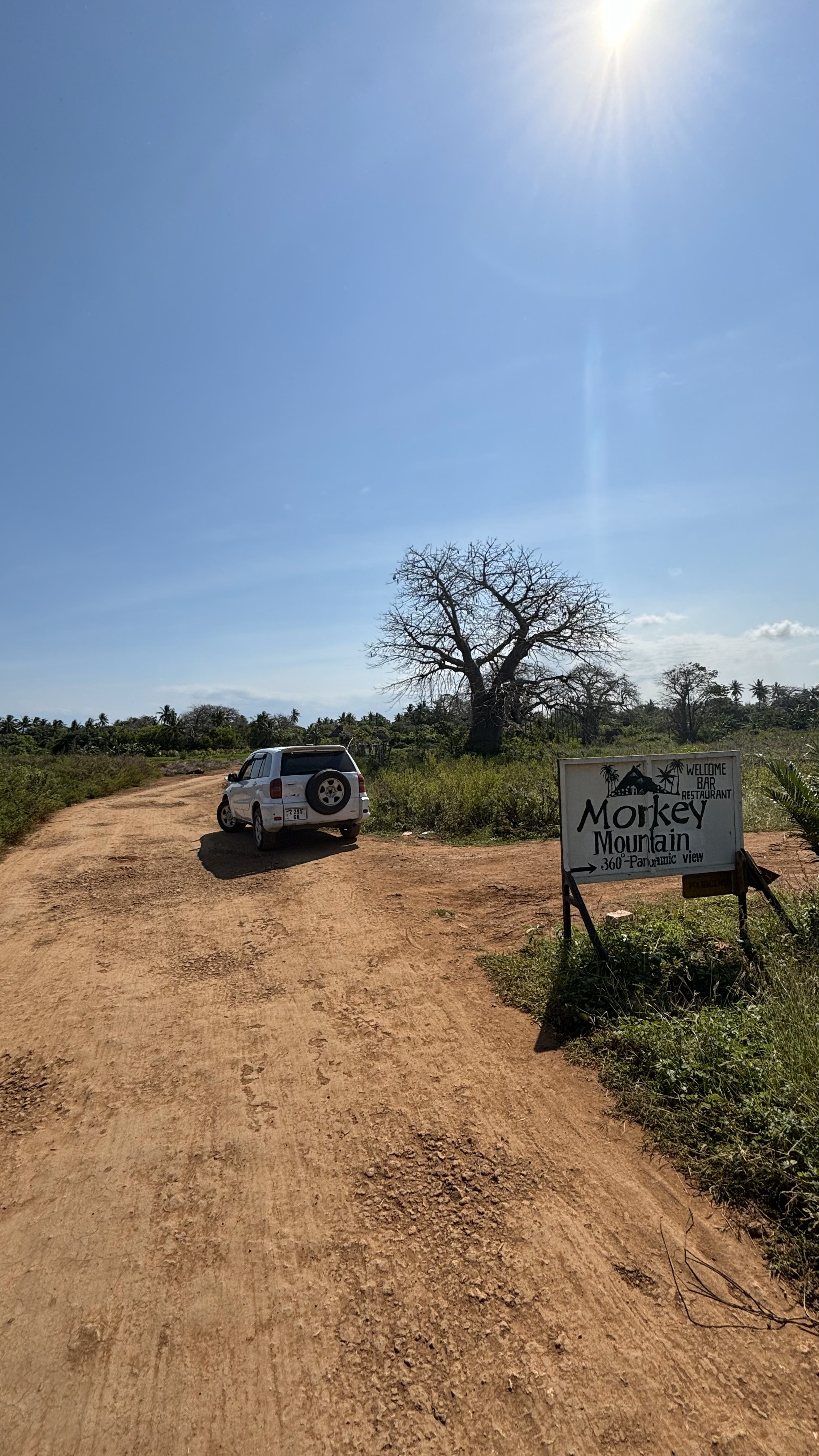 Приключения на Занзибаре (14/26)