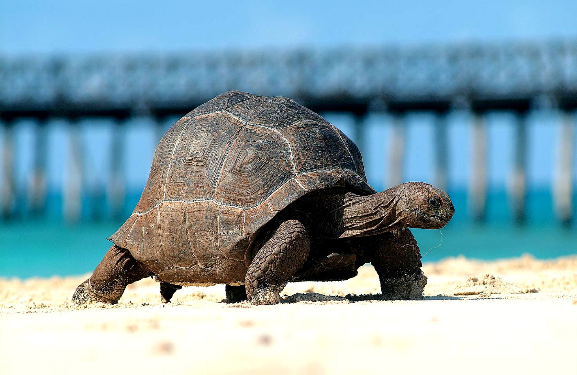 Приключения на Занзибаре (21/26)