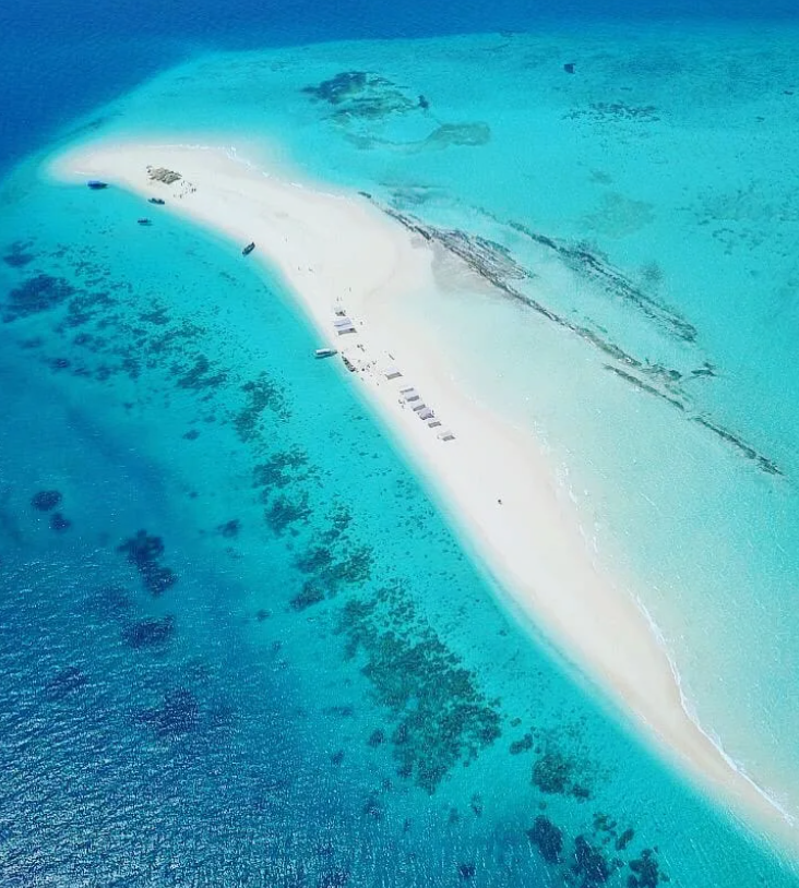 Приключения на Занзибаре (23/26)