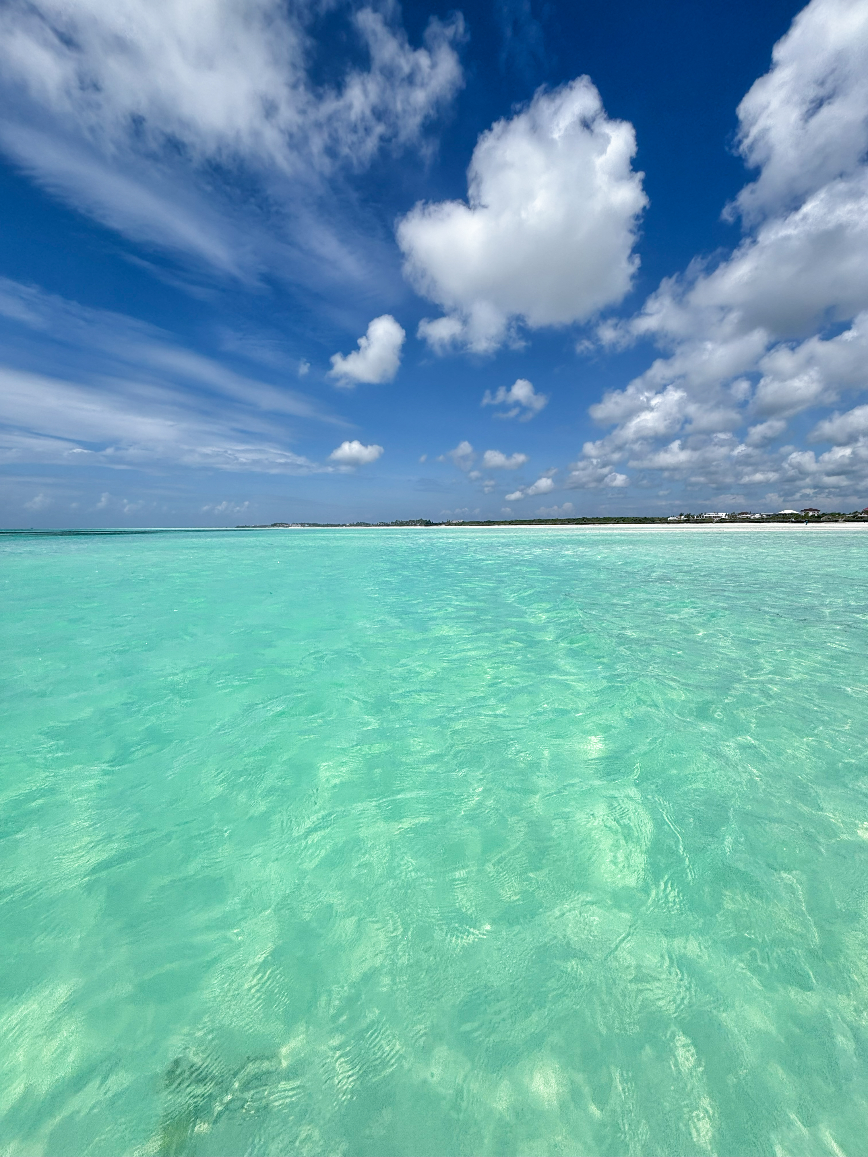 Приключения на Занзибаре (8/26)