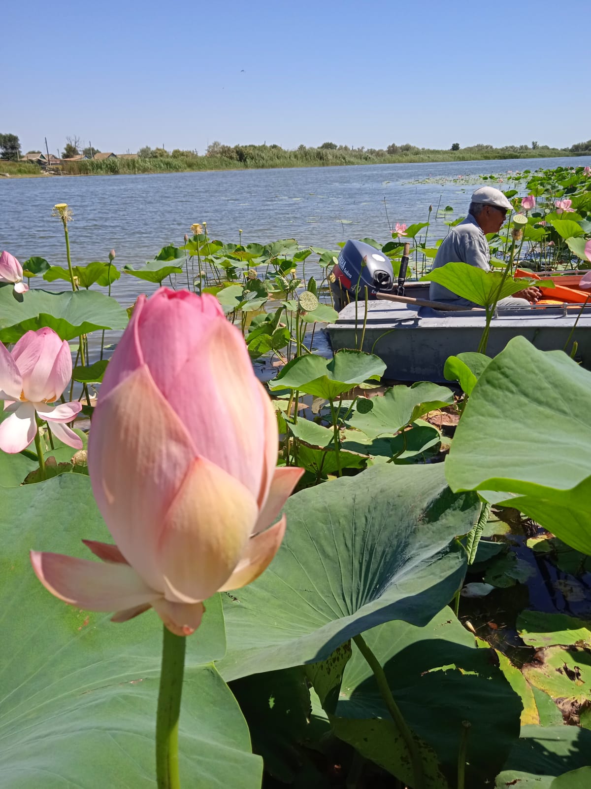 Степное Поволжье (8/12)
