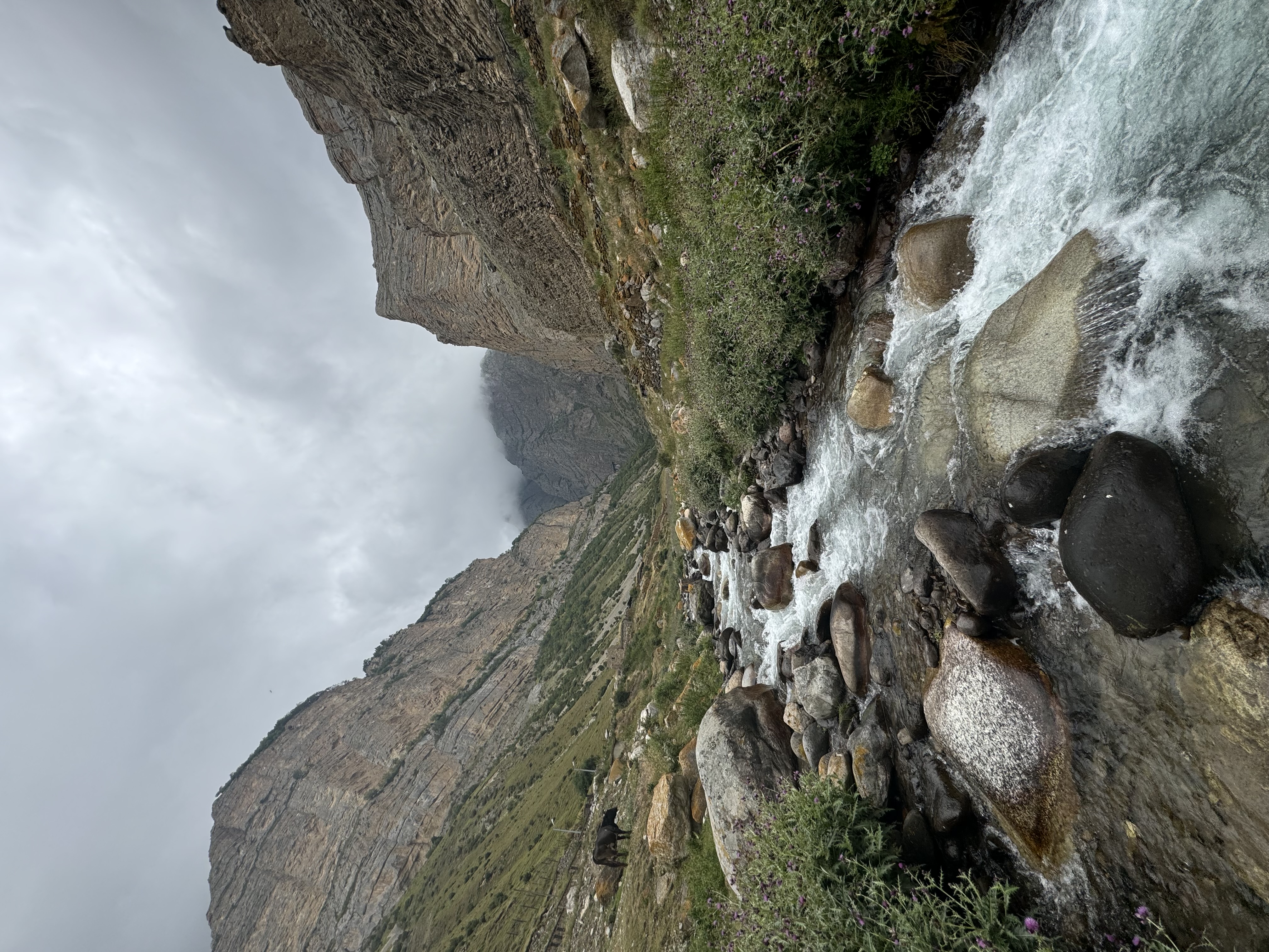 Эль Тур (Эльбрус) (23/73)