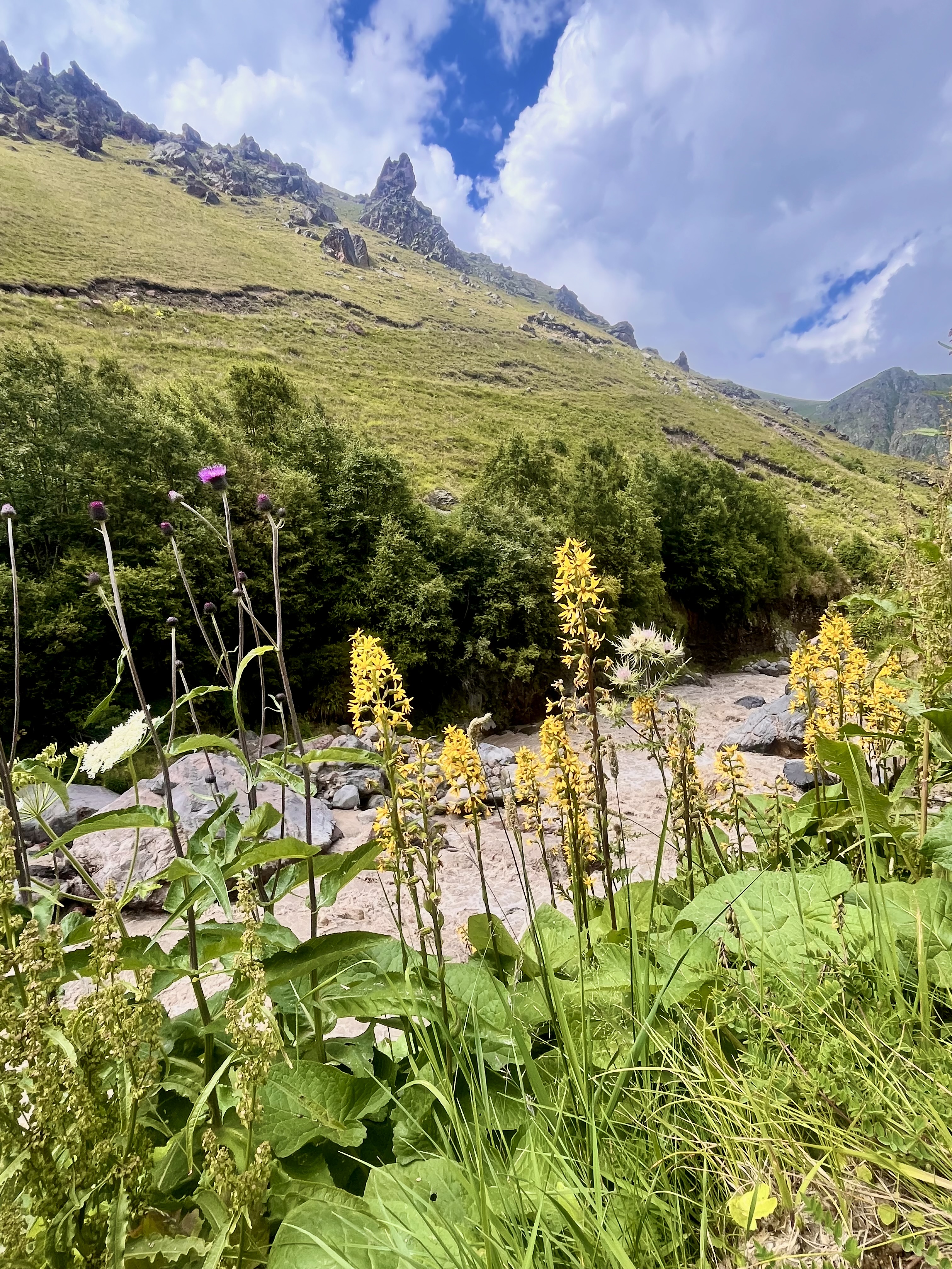 Индивидуальный джип-тур в урочище Джилы-Су из Кисловодска (15/17)