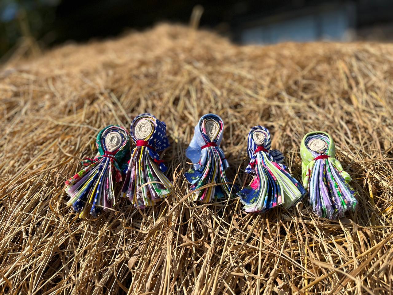 Уникальный этнотур в старинные северные деревни - Поморская Сказка (37/43)