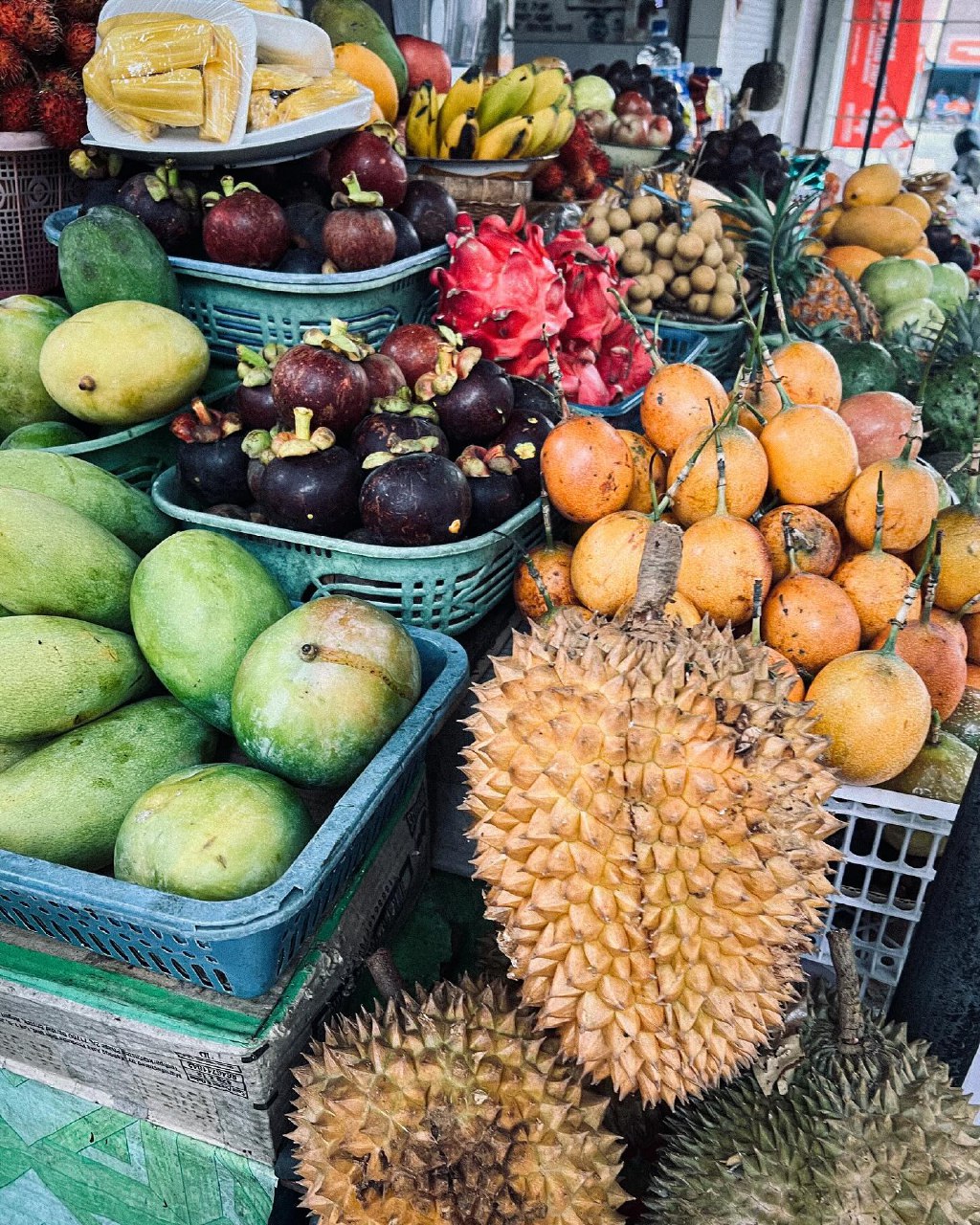 5 островов Индонезии (Бали, Нуса Пенида, Ява, Флорес, Комодо) 13 дней (65/122)