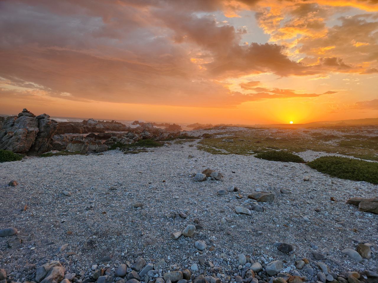 Африка! По следам большой пятерки ! (11/63)