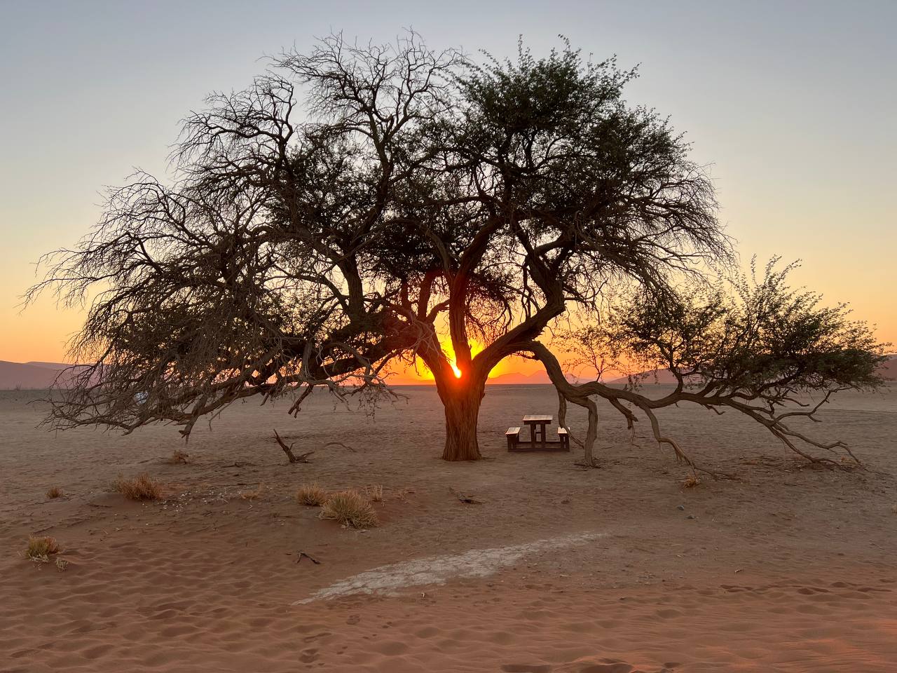 Африка! По следам большой пятерки ! (10/63)