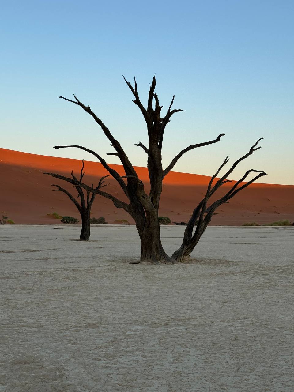 Африка! По следам большой пятерки ! (7/63)