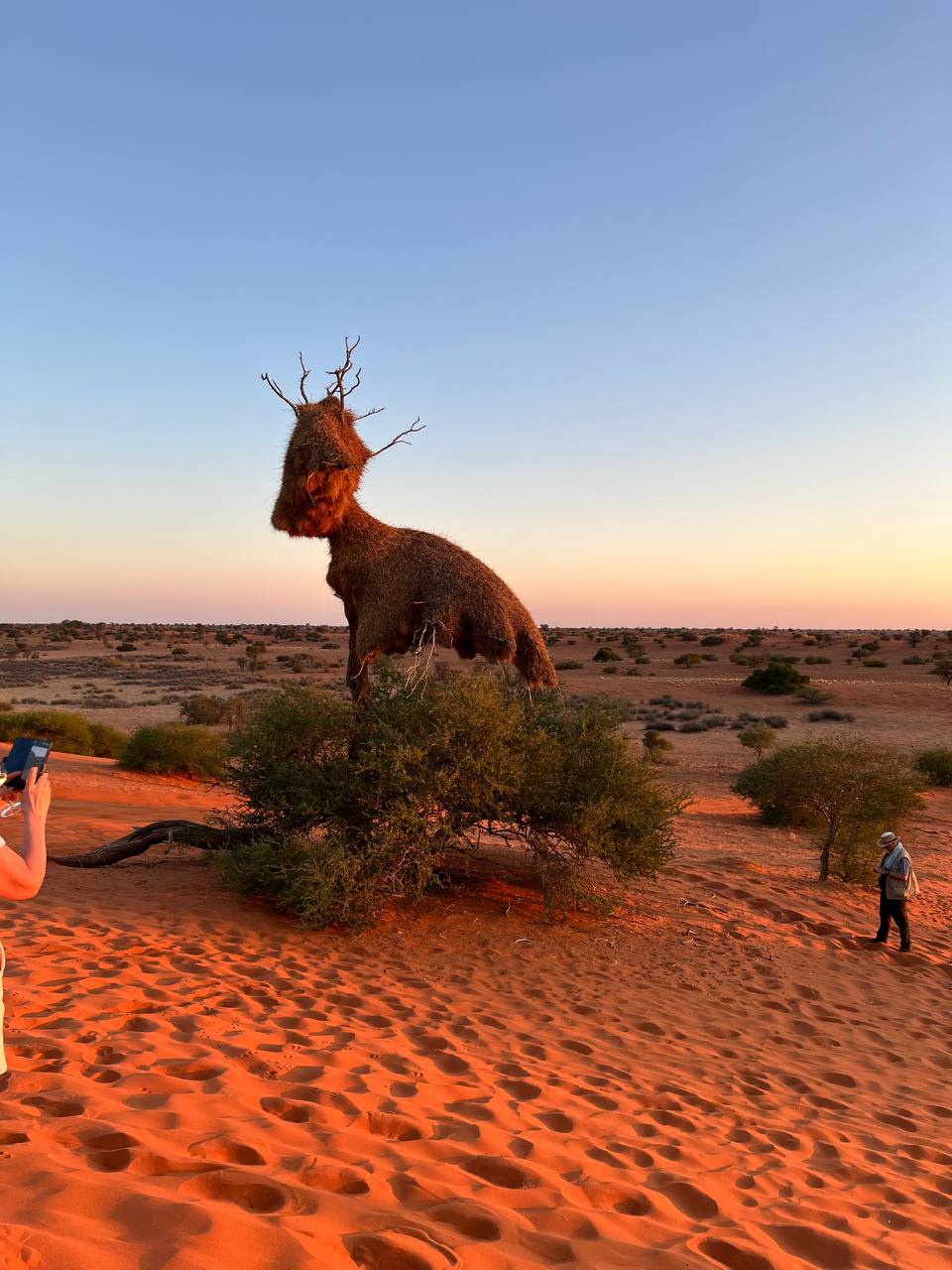 Африка! По следам большой пятерки ! (8/63)