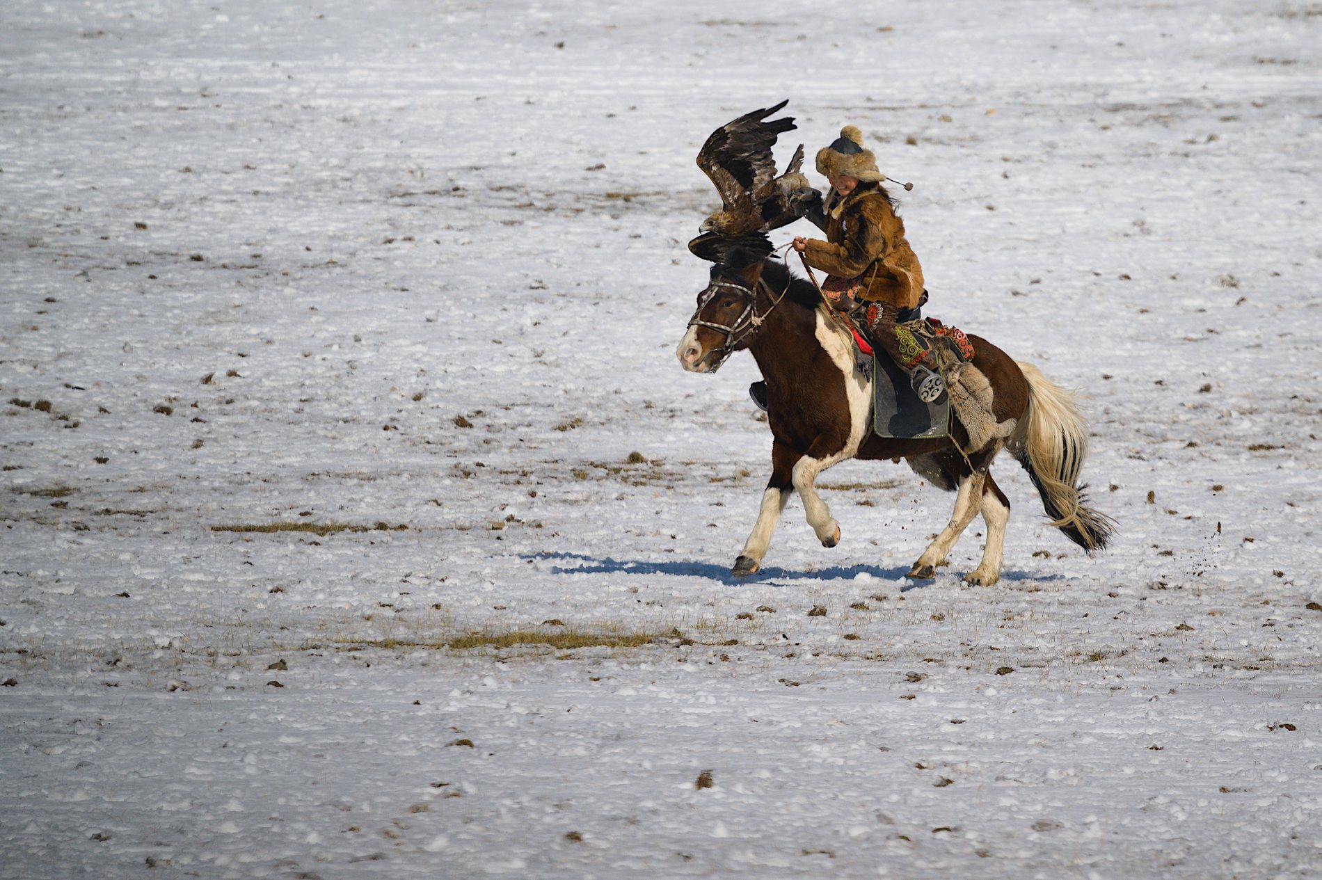 На фестиваль беркутов в Монголию + Чуйский тракт: вперед в прошлое! (7/37)