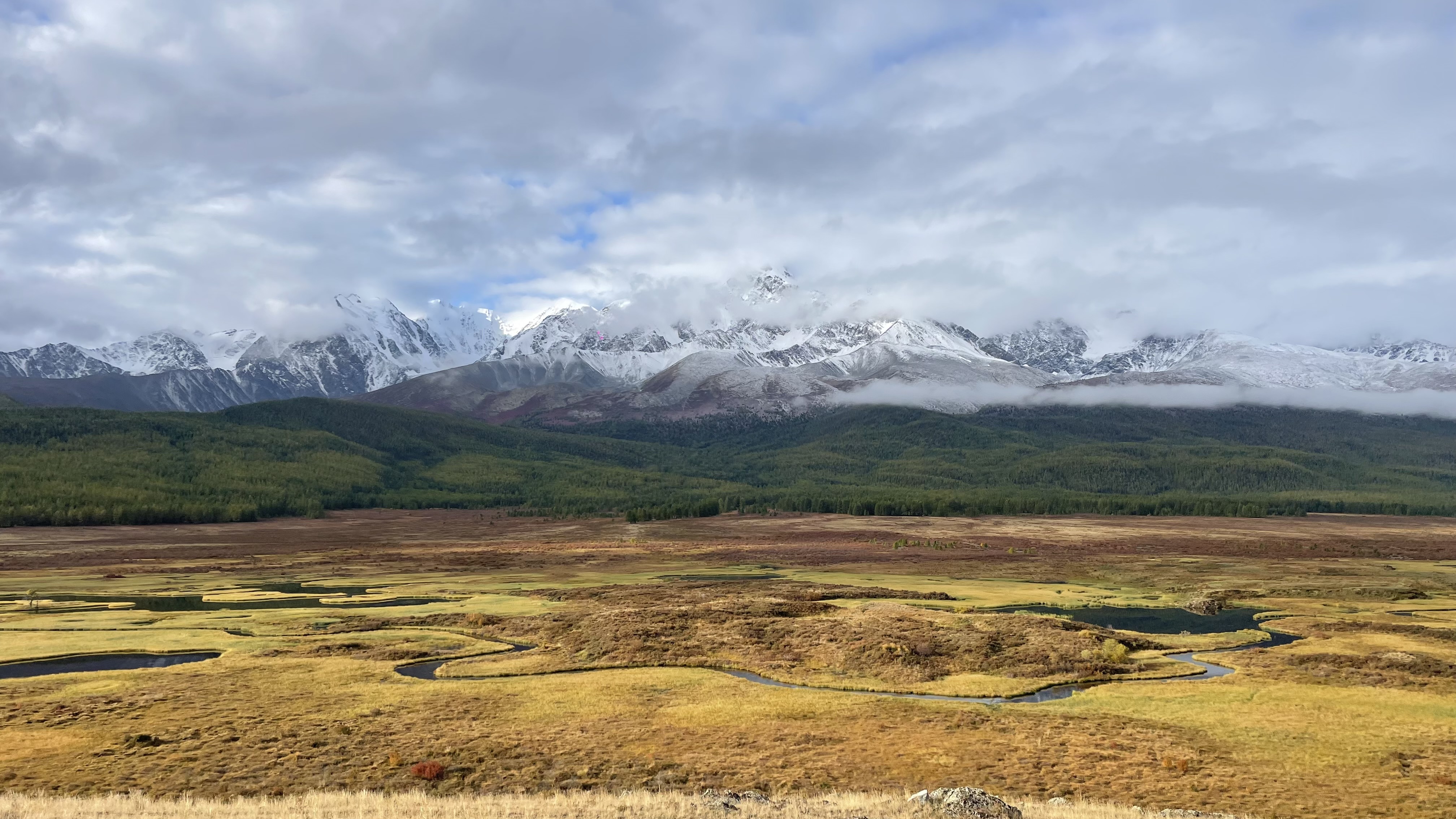 Золото осеннего Алтая (31/50)