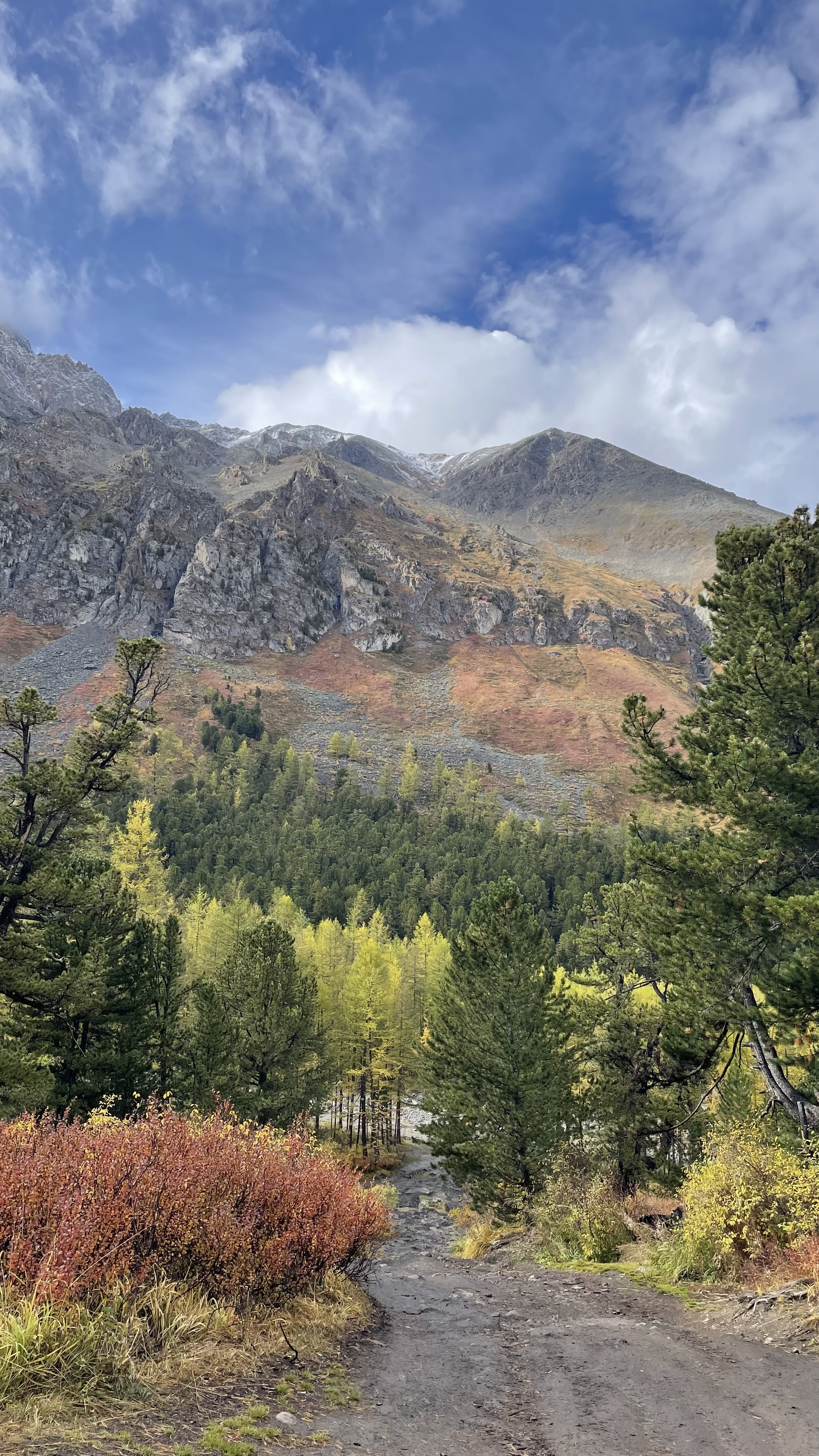 Золото осеннего Алтая (27/50)