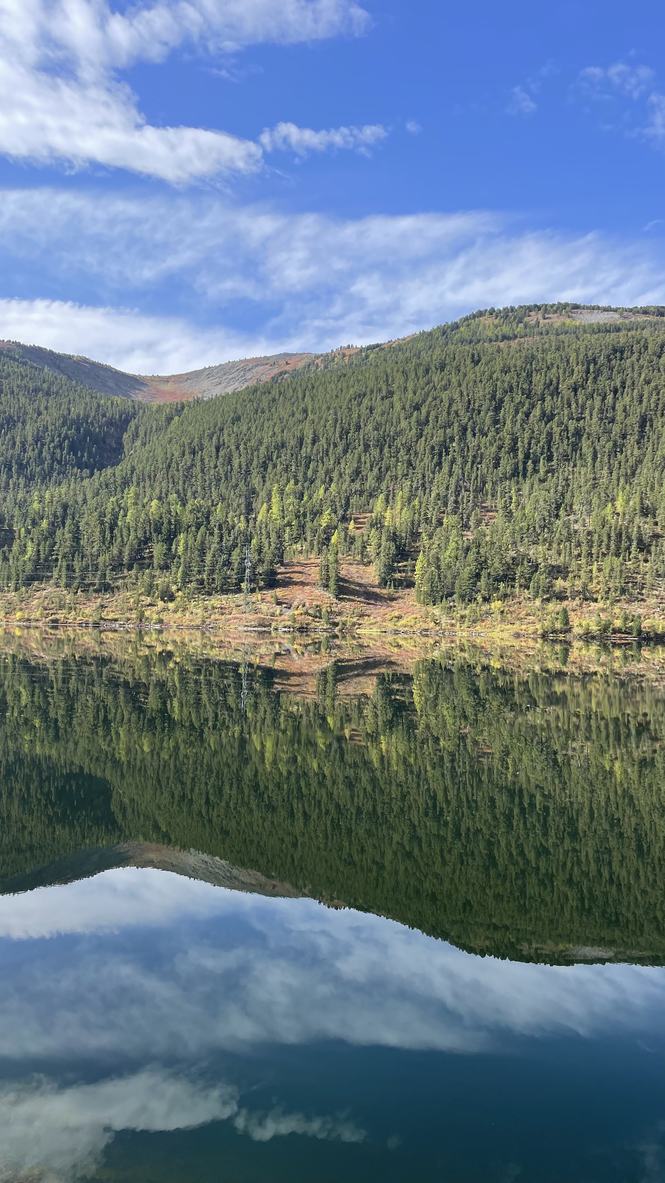 Золото осеннего Алтая (29/50)