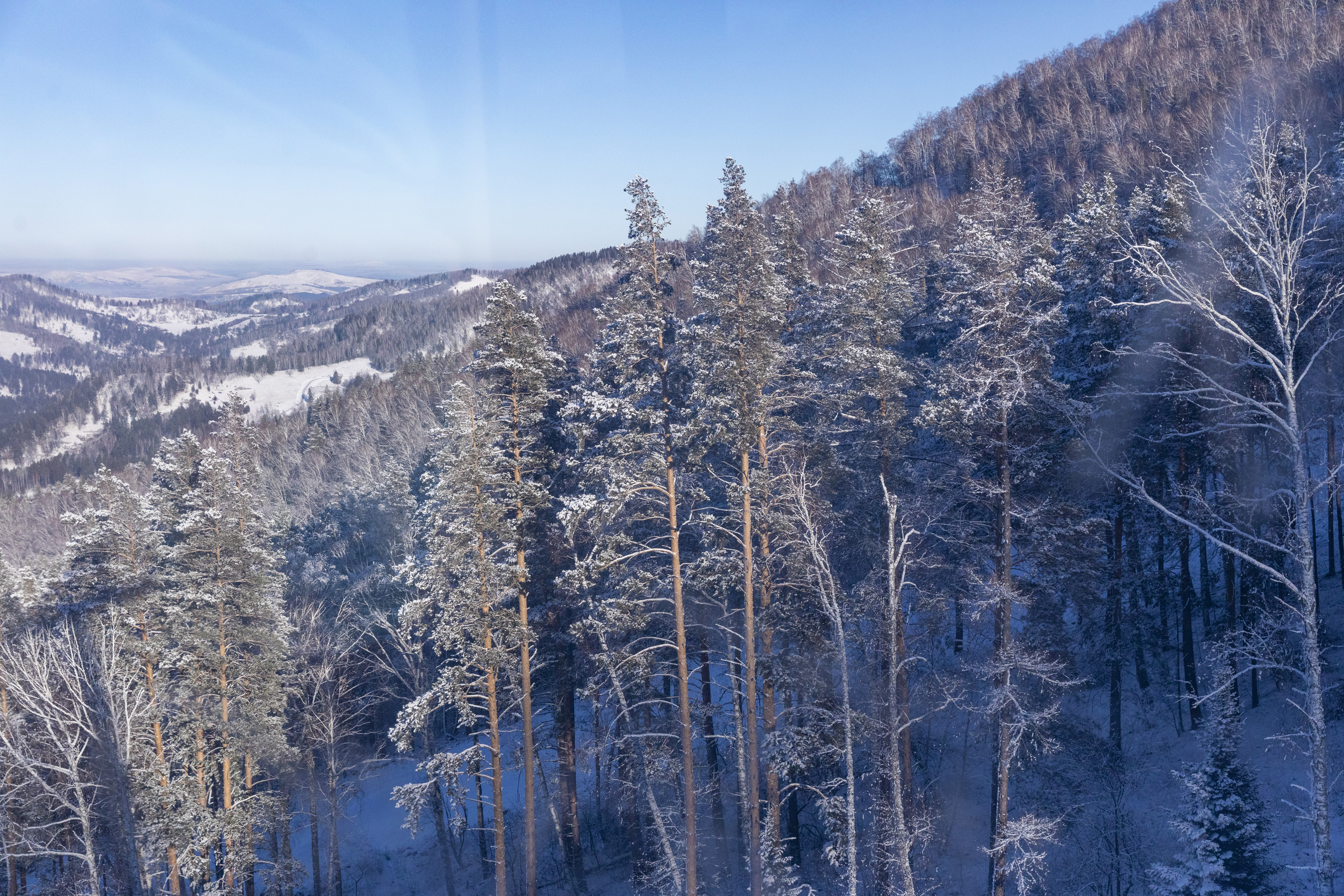 Актив-тур на Алтай (6/41)