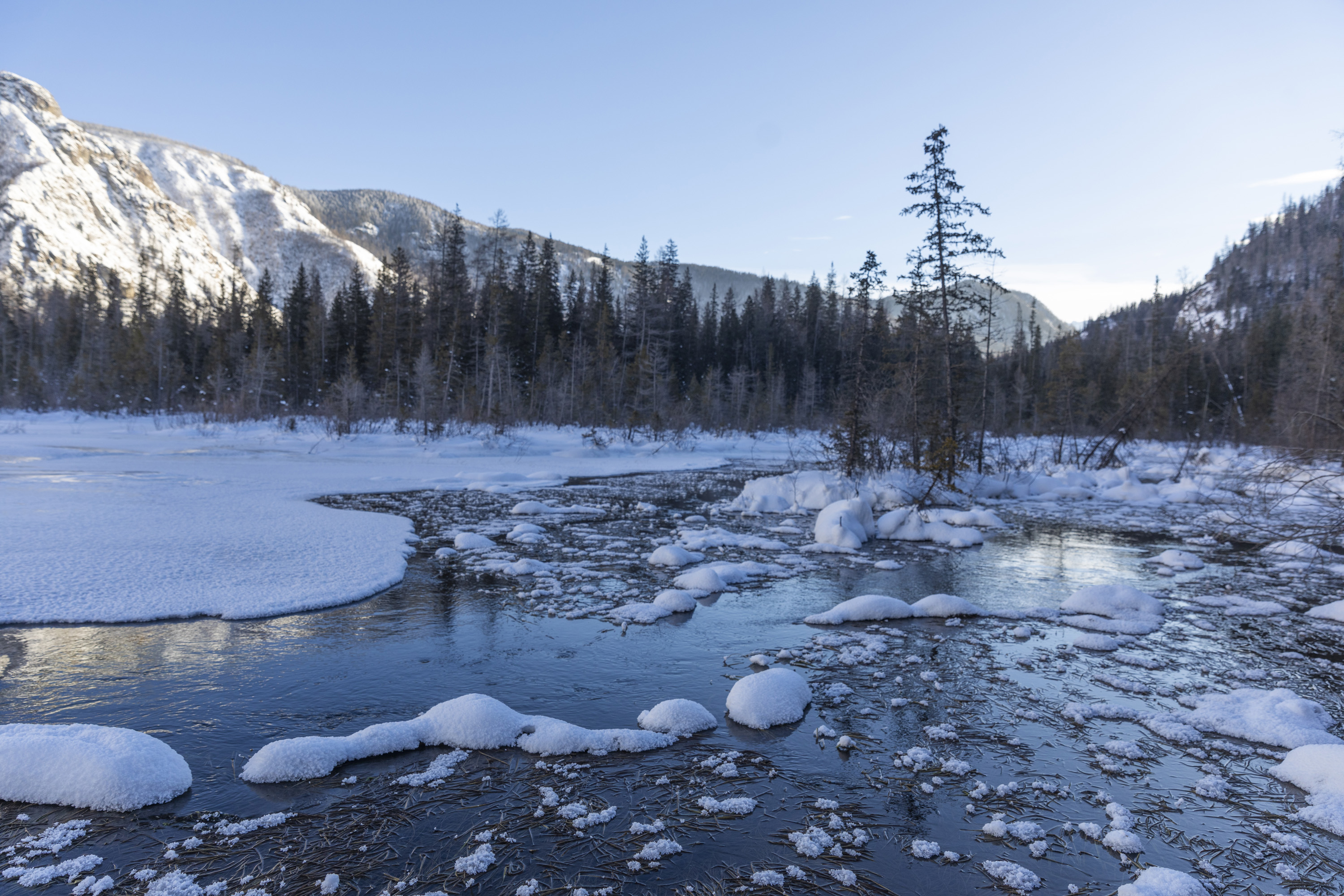 Актив-тур на Алтай (16/41)