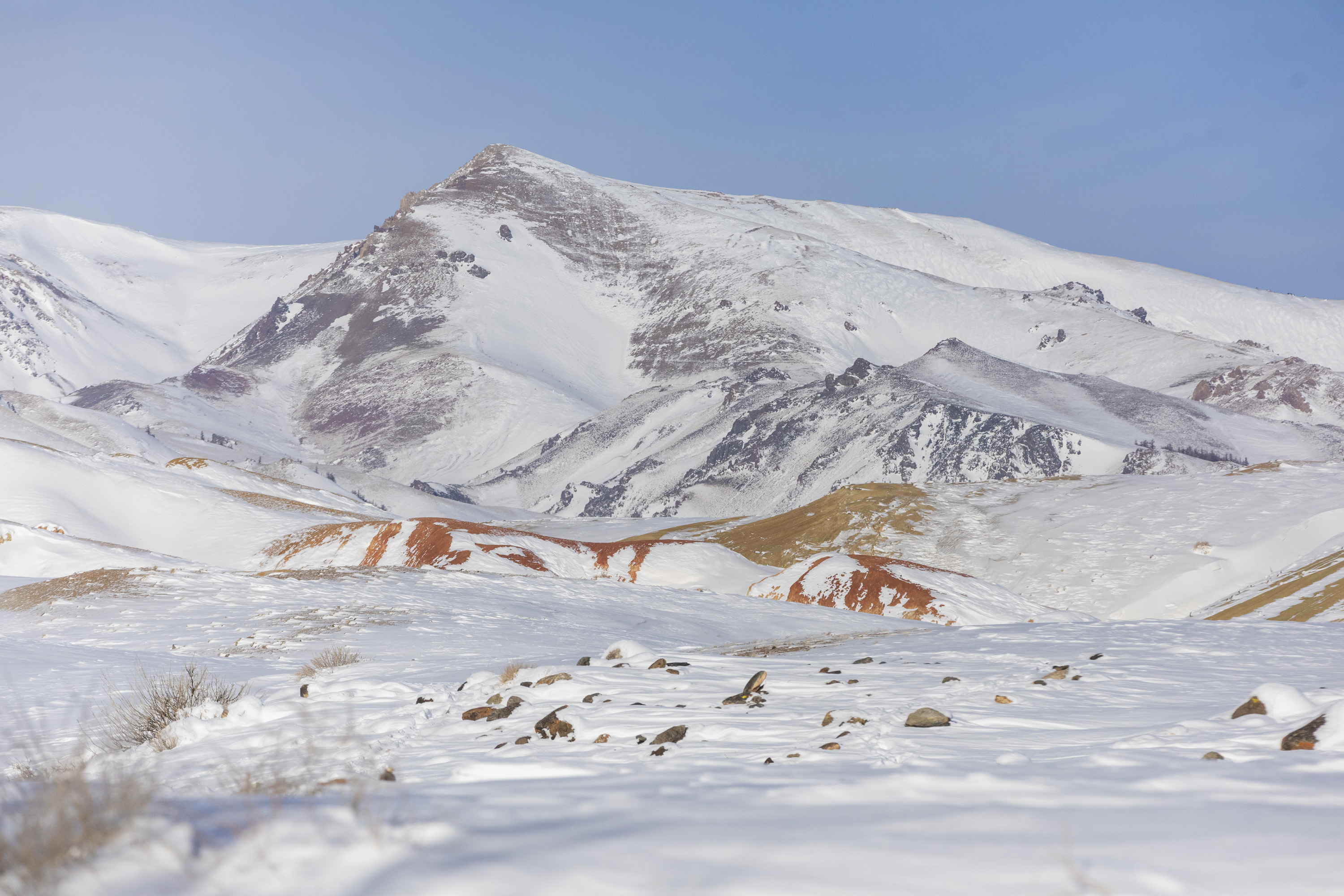 Актив-тур на Алтай (8/41)