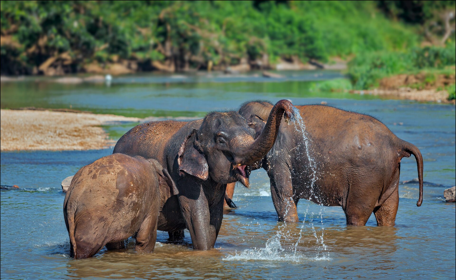Индивидуальный тур в Северный Таиланд И Лаос ! (13/45)
