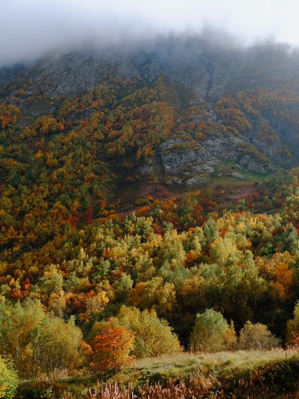 Северная Осетия. Треккинг в Дигорском ущелье (14/36)