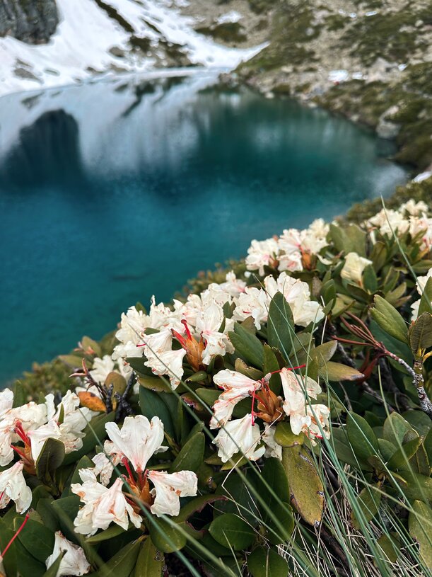 Кавказ. Архыз. Треккинг к красивейшим озерам с проживанием в отеле (5/21)