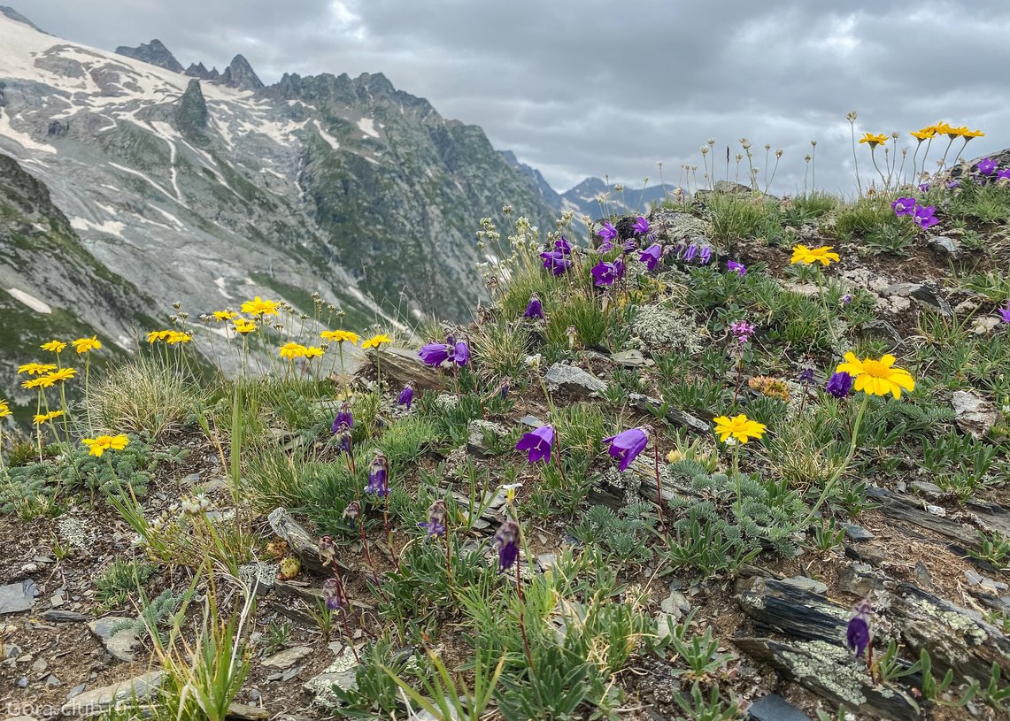 Кавказ. Архыз. Треккинг к красивейшим озерам с проживанием в отеле (16/21)