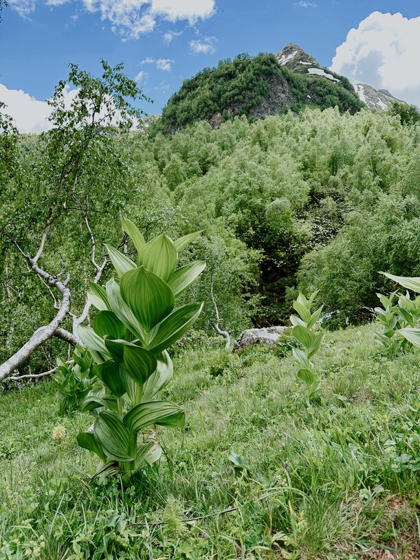 Кавказ. Архыз. Треккинг к красивейшим озерам с проживанием в отеле (9/21)