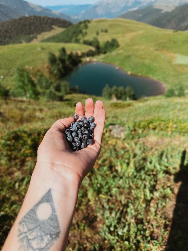 Кавказ. Архыз. Треккинг к красивейшим озерам с проживанием в отеле (17/21)