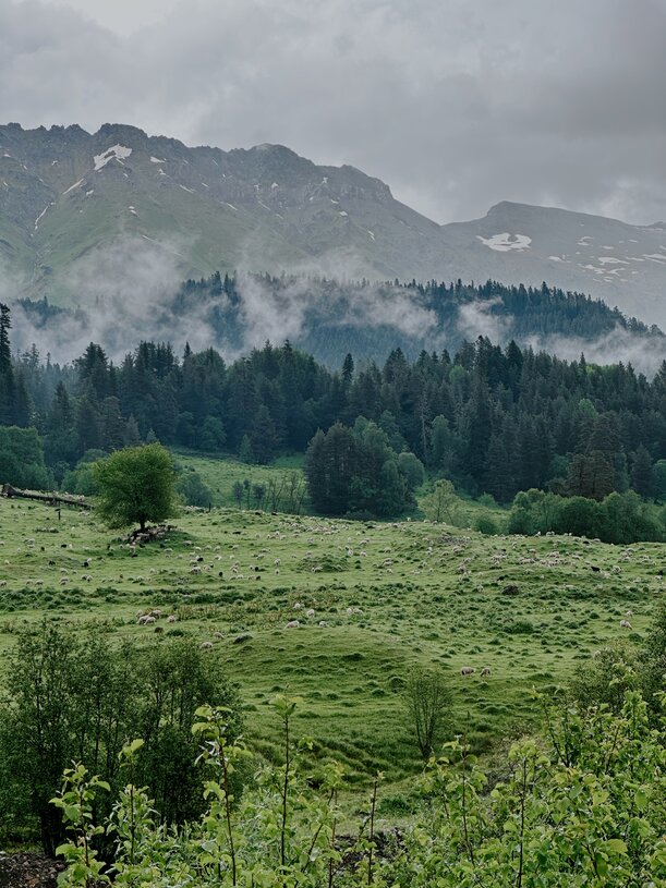 Кавказ. Архыз. Треккинг к красивейшим озерам с проживанием в отеле (8/21)