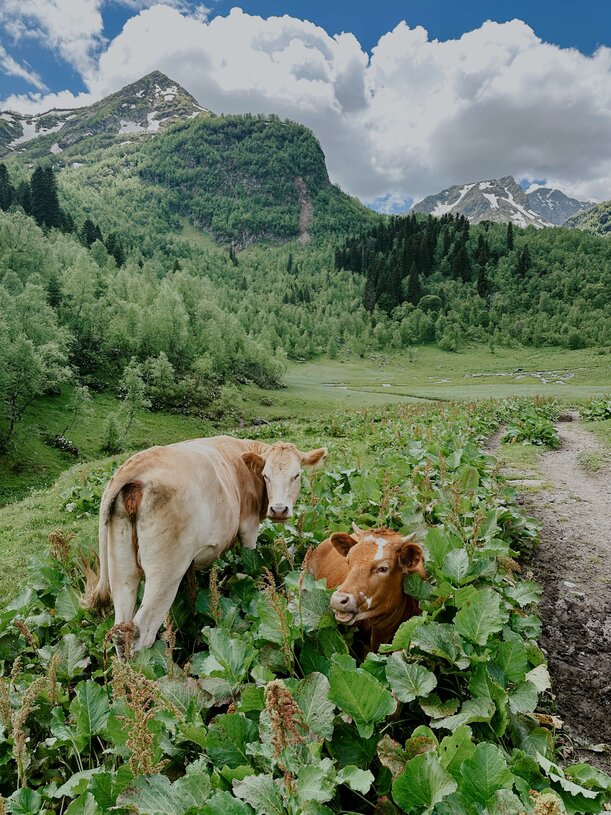 Кавказ. Архыз. Треккинг к красивейшим озерам с проживанием в отеле (11/21)
