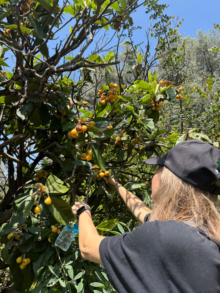 Ликийская тропа без рюкзаков, Турция (7/30)