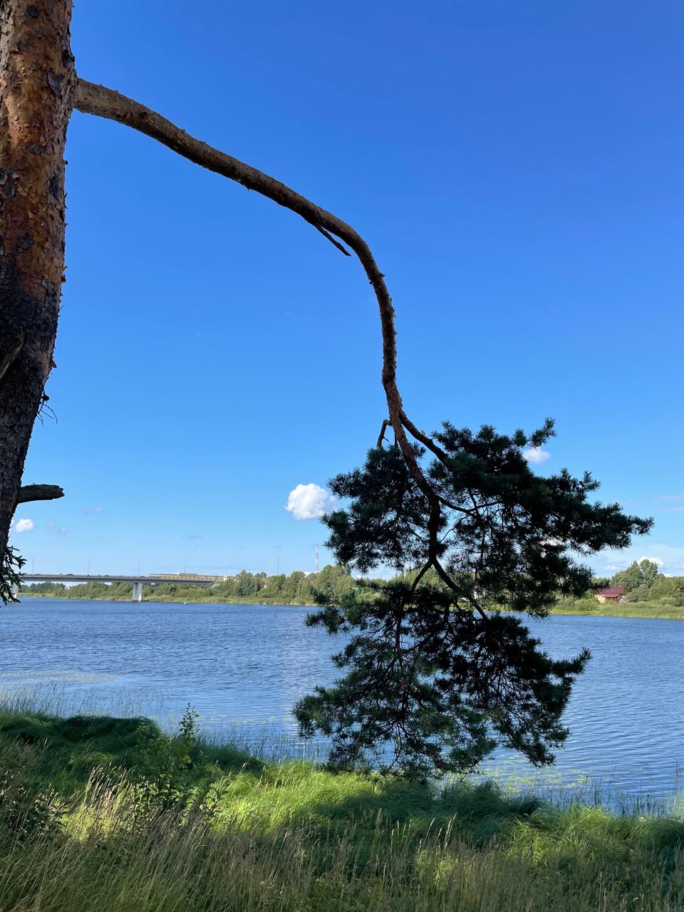 До Кижей и вокруг Ладоги (2/43)